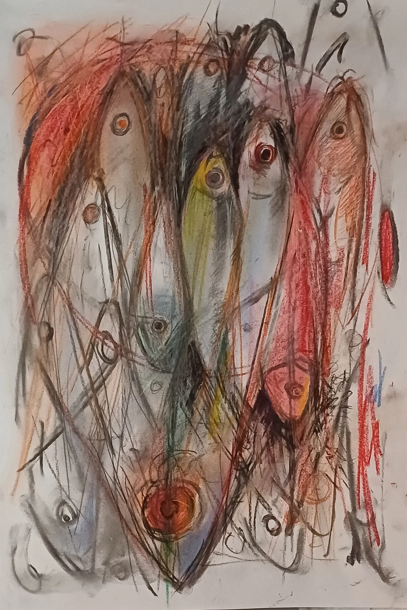 20240426_154921.jpg