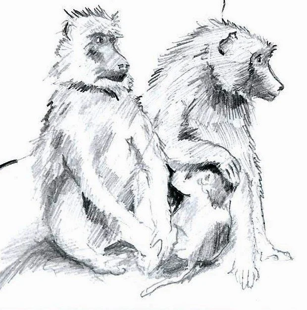 Tierportraits.jpg