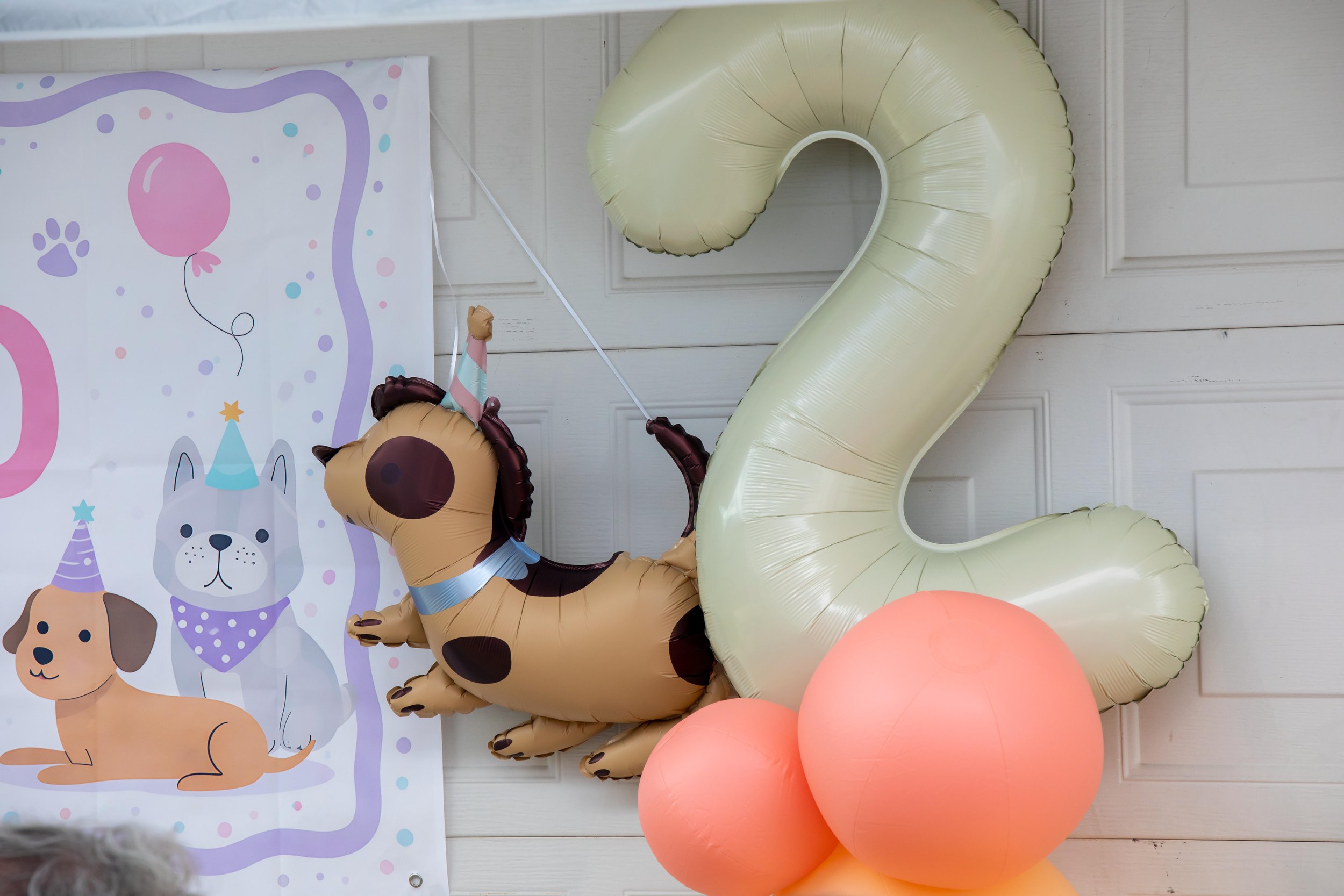 Birthday Party57.jpg
