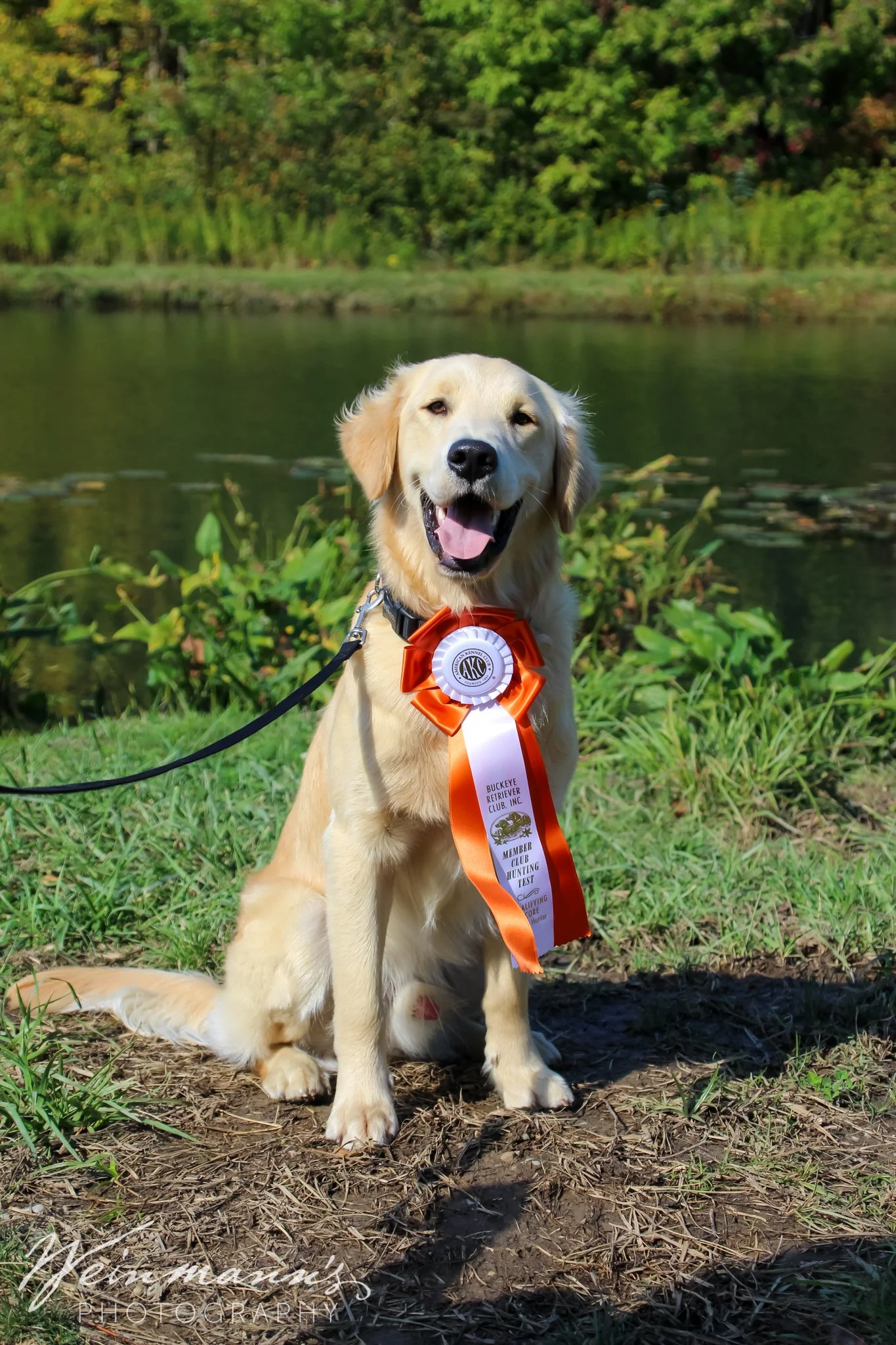 Buckeyes Hunt Test15.jpg