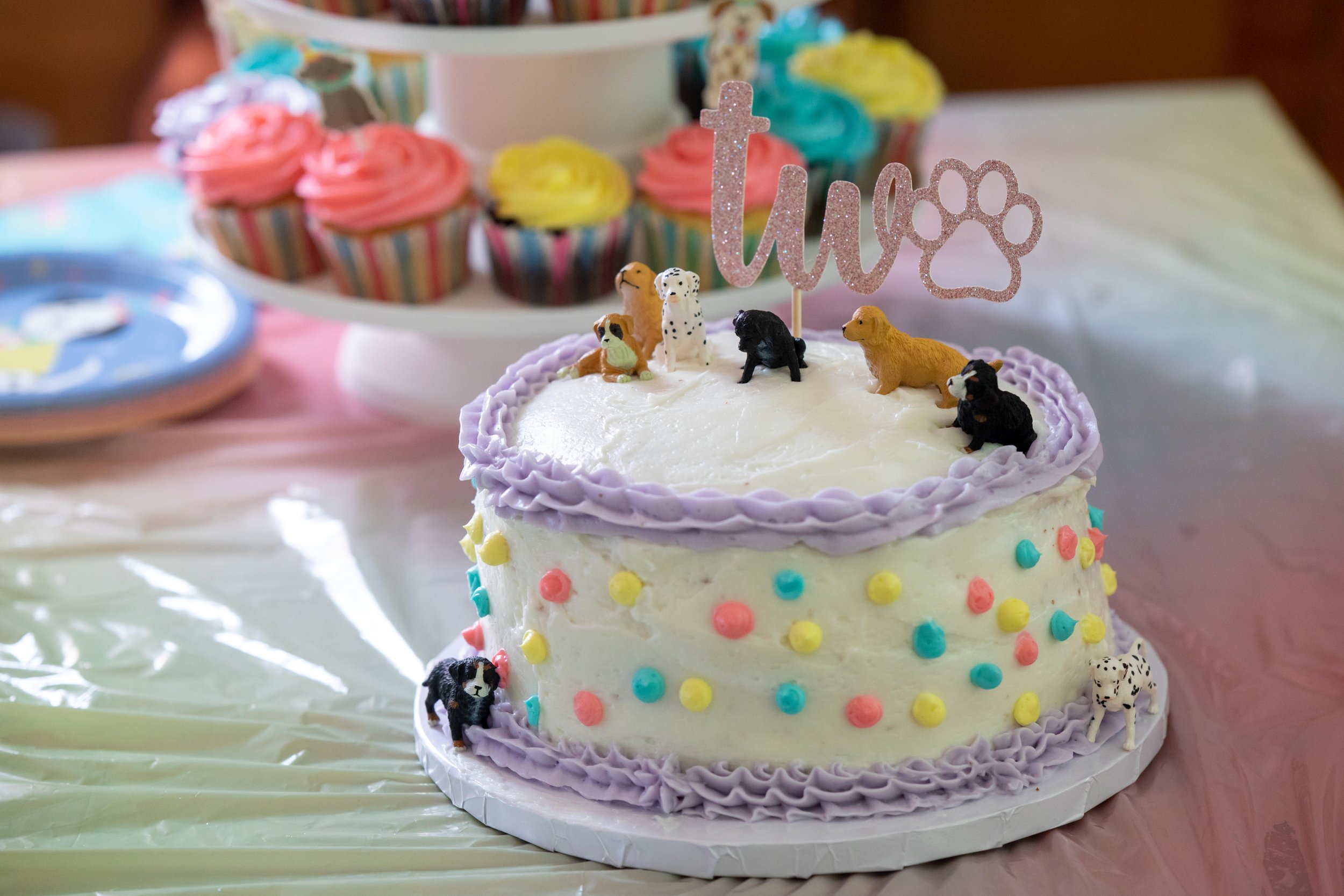 Birthday Party18.jpg