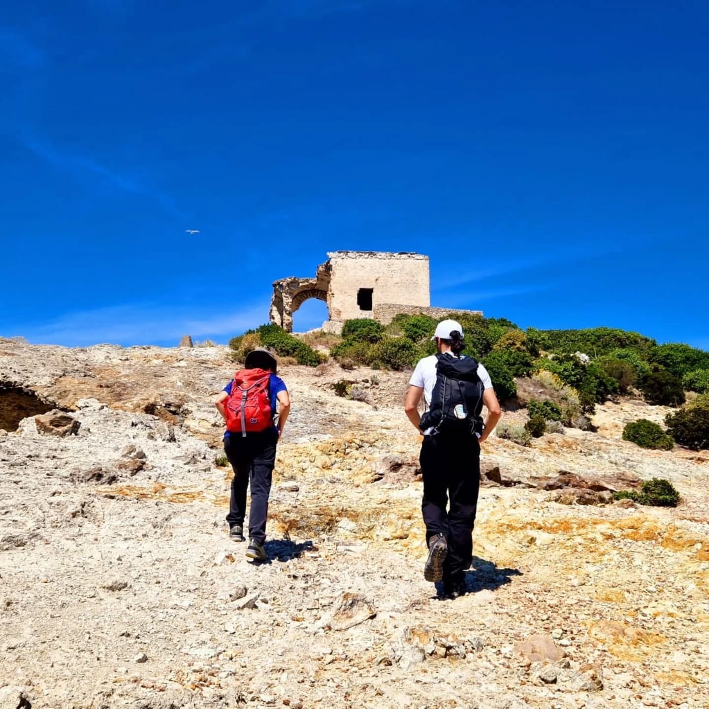 Exploring and living: Ponza 🏝️

#hiking #aigaeitaliaguide #ponza #trekkinglazio #nature #sea #seascape #mediterranean #wonderful #meraviglieditalia #isoleponziane #lifestyle #walking #explorenature #protectnature #discoverponza #discovery #sun #may