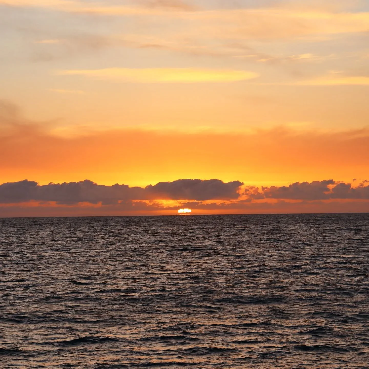 Sunset.

#sealife #seascape #cloud #landscape #sunset #horizon #nature #mothernature #enjoylife #lifequotes #powerful #sungod #cycle #season #ecology #energy #positivity #mindfulliving