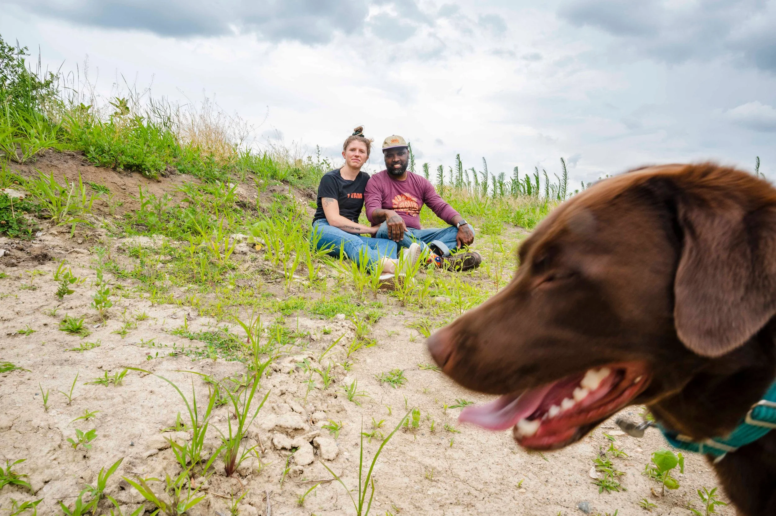 A brown dog with its tongue out in the foreground, and two people sitting on a grassy hillside with cloudy skies in the background.