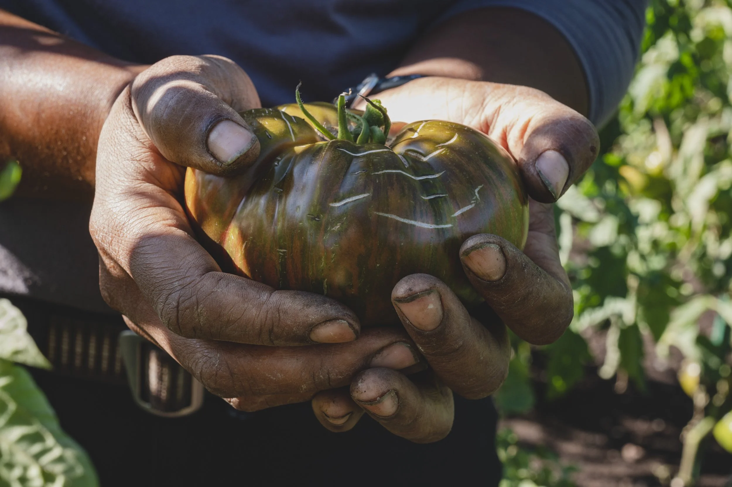 Glensheen Garden_Duluth MN_372.JPG