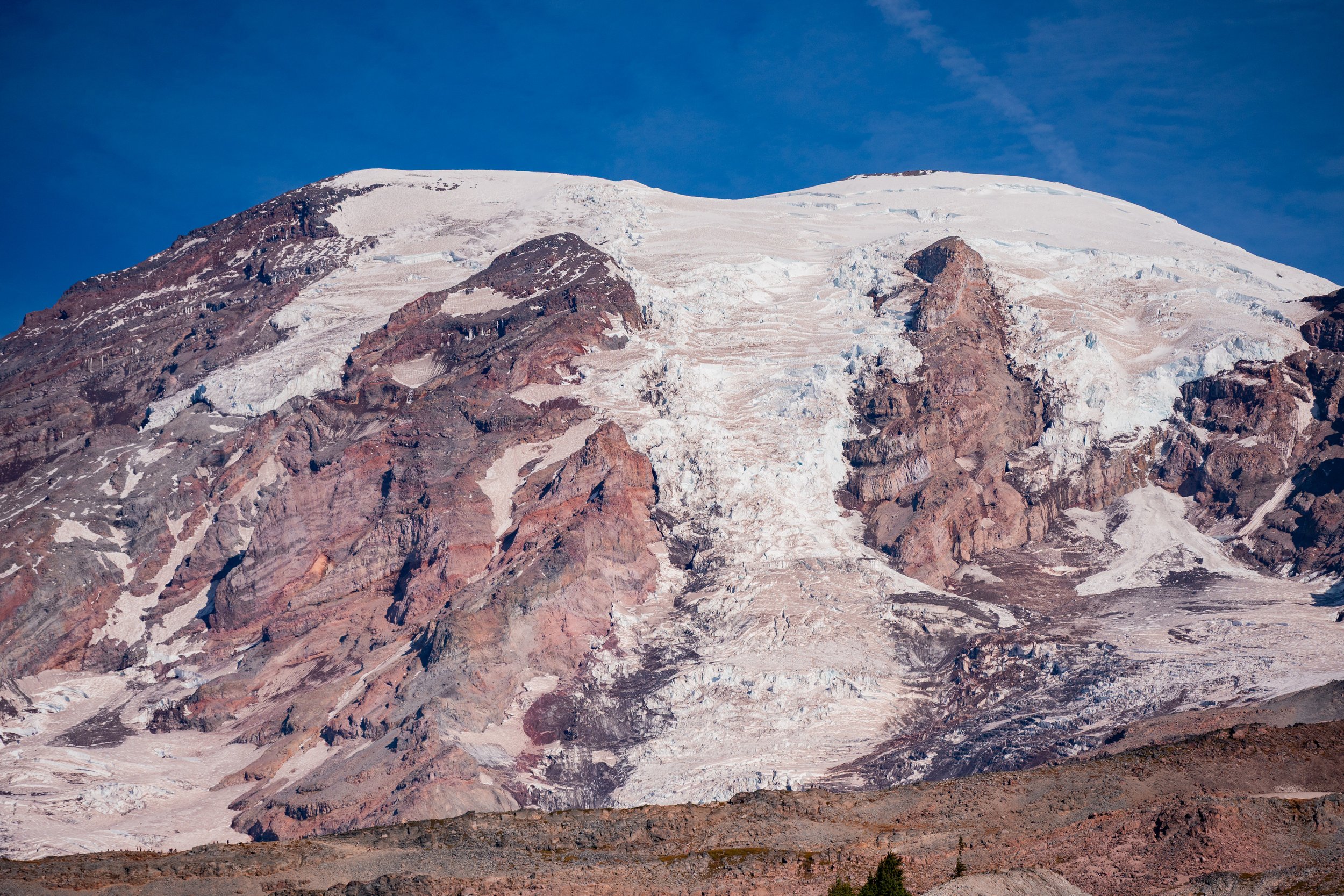 DSC_4810.jpg