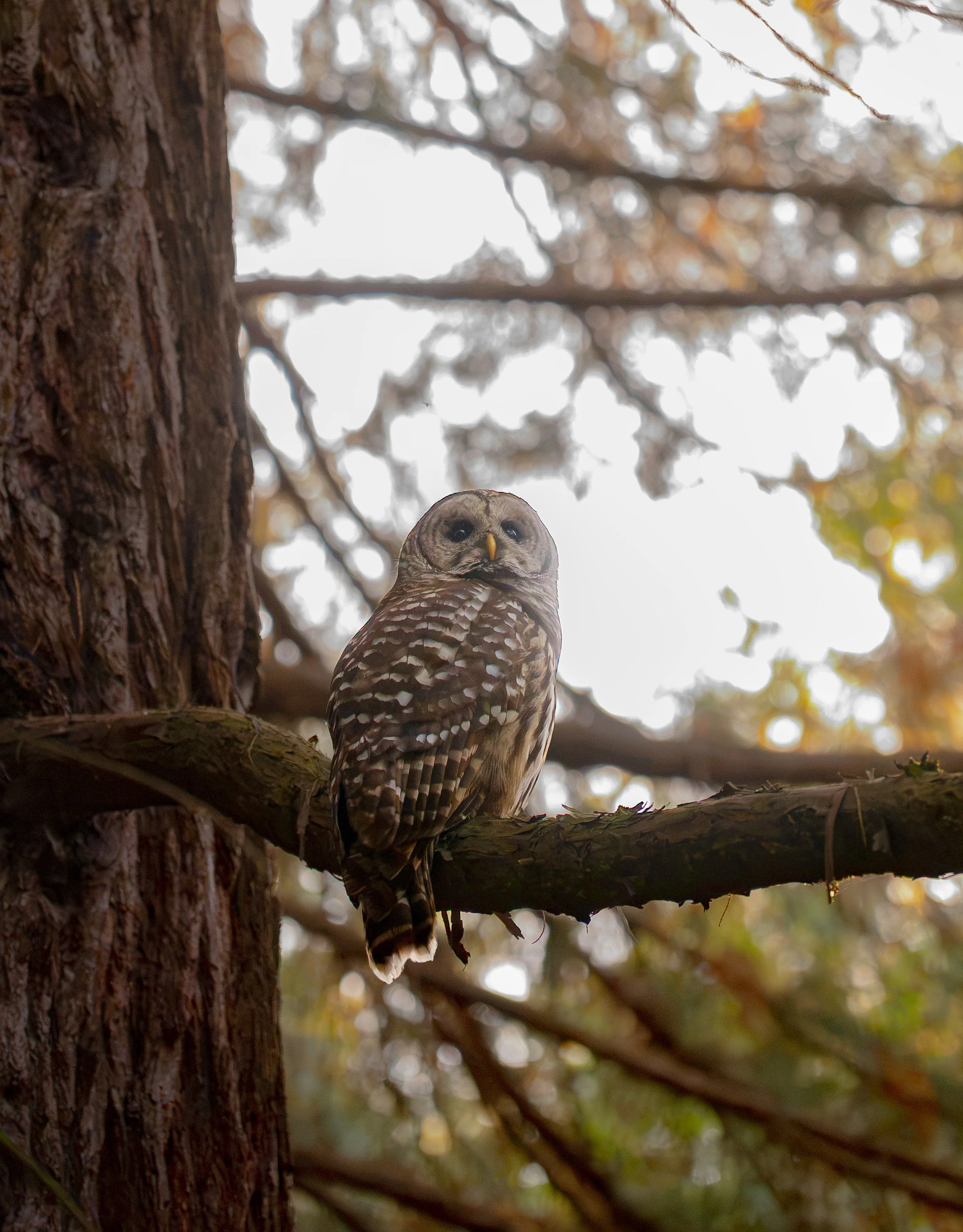 DSC_4590.jpg