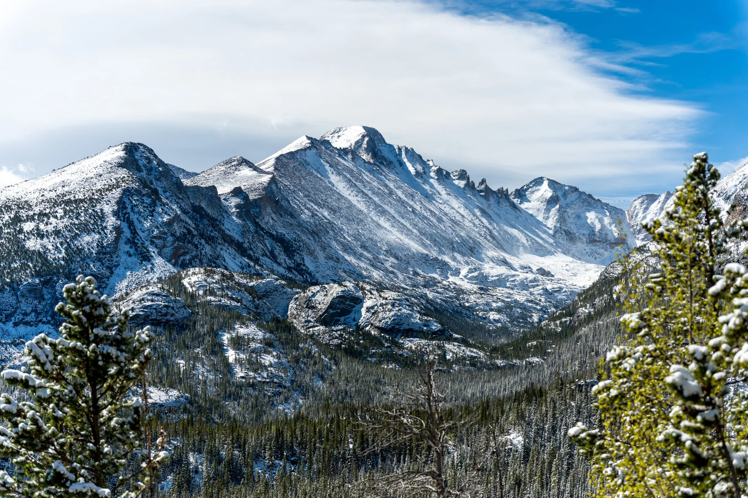 DSC_1430.jpg