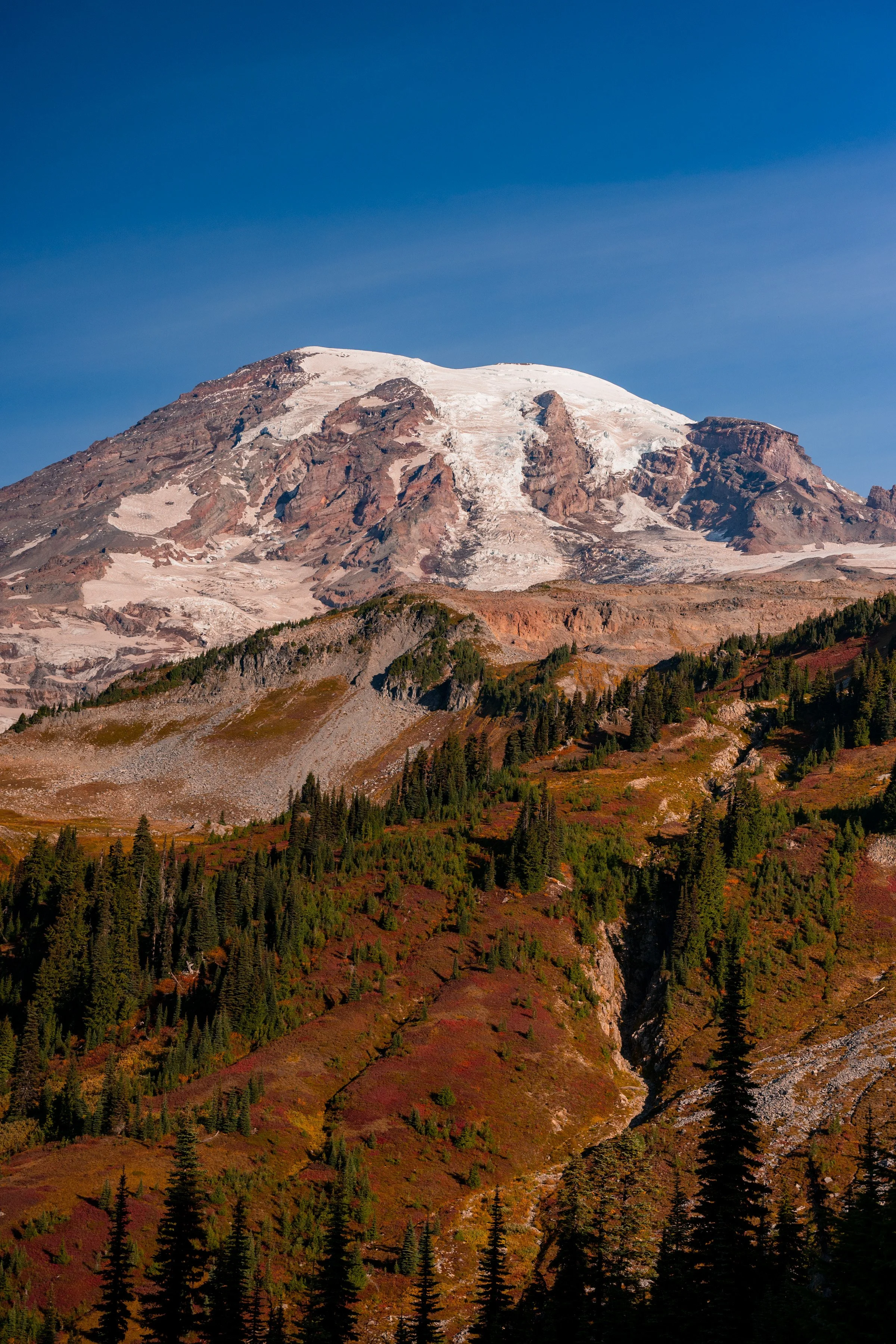 DSC_4789.jpg