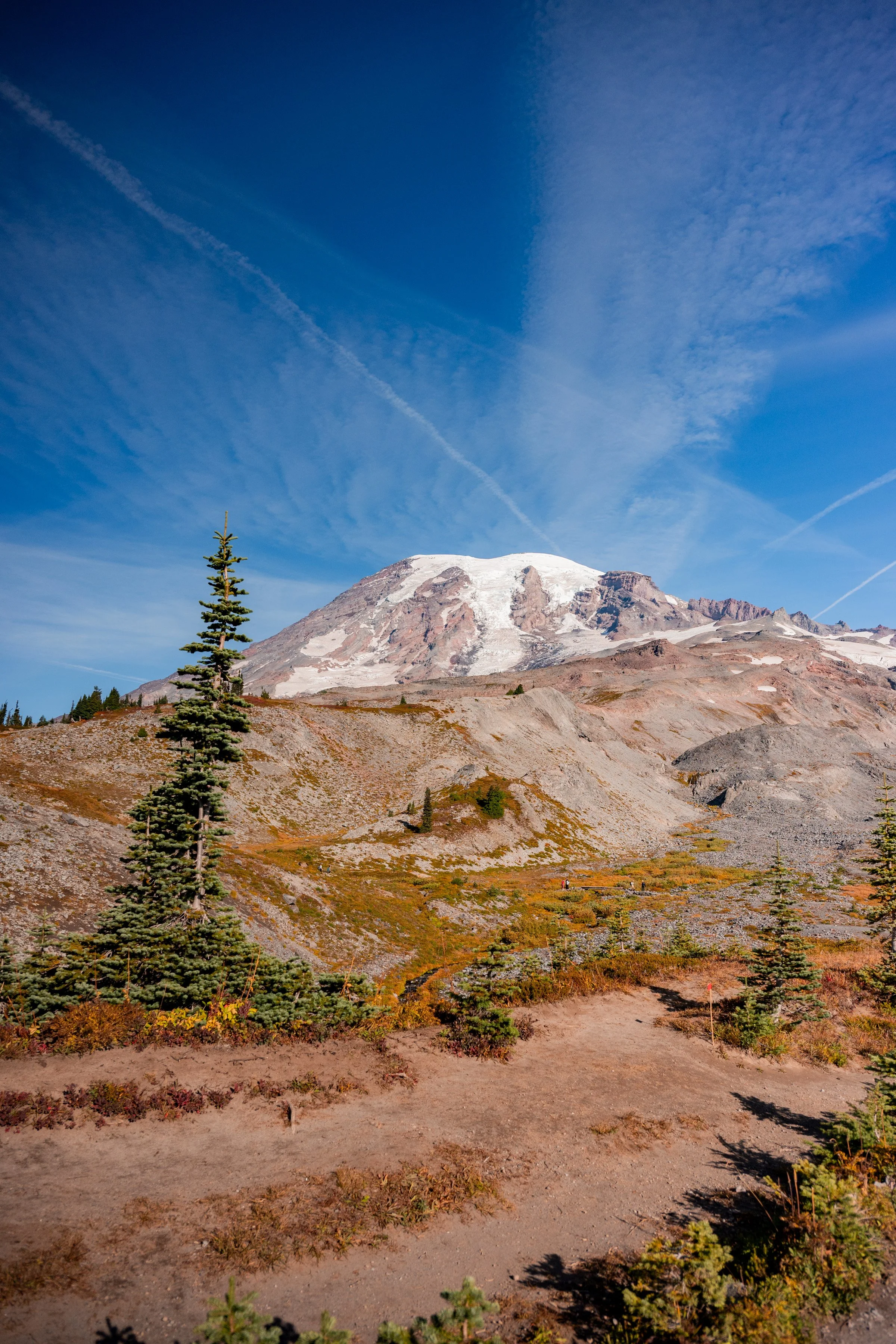 DSC_4813.jpg