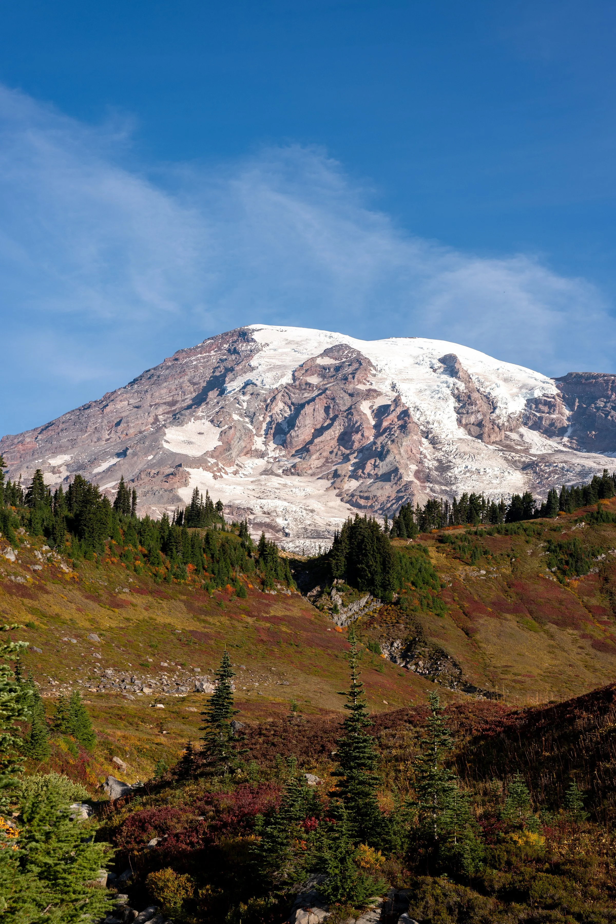 DSC_4755.jpg