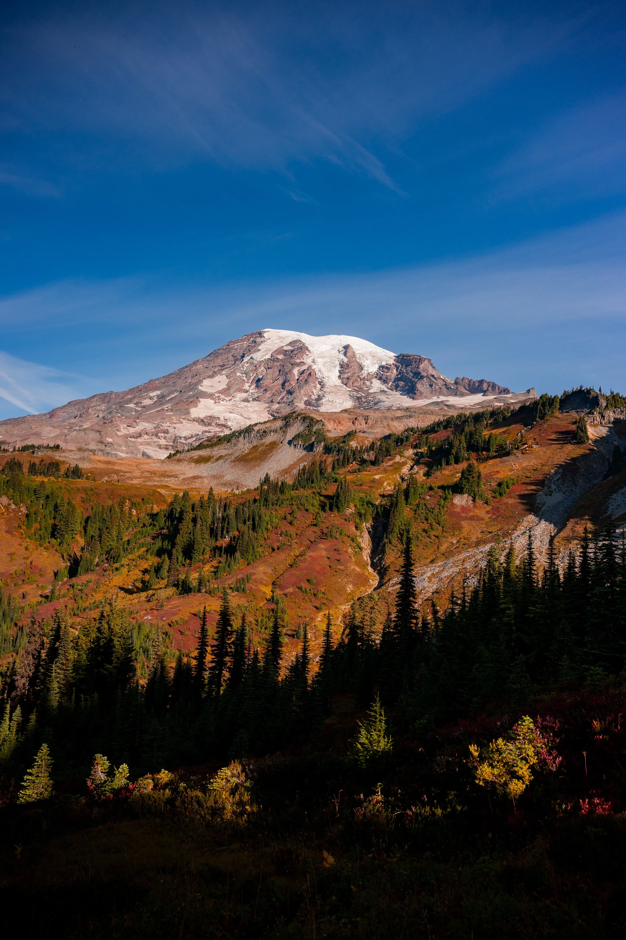 DSC_4786.jpg
