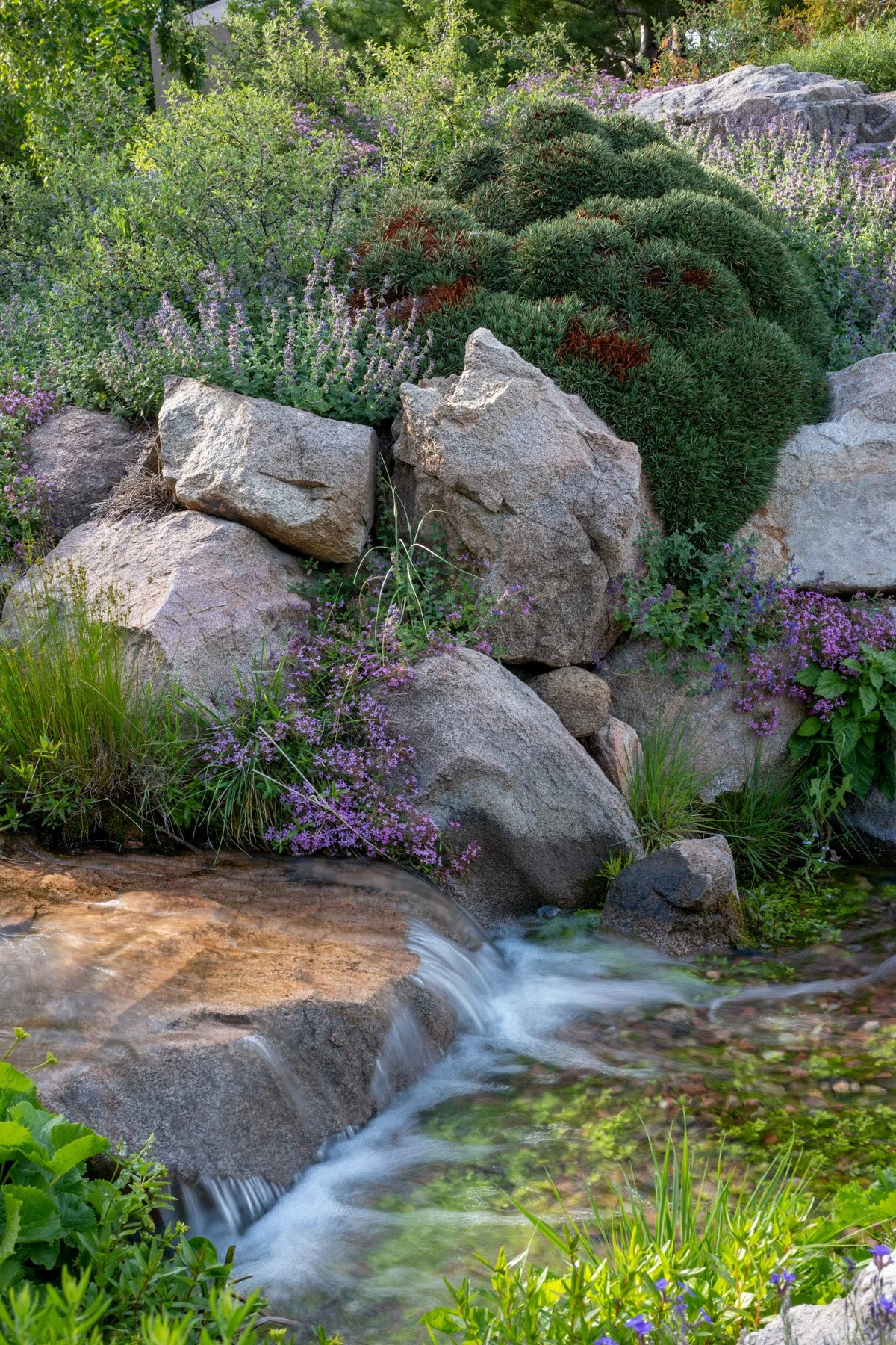DSC_2367.jpg