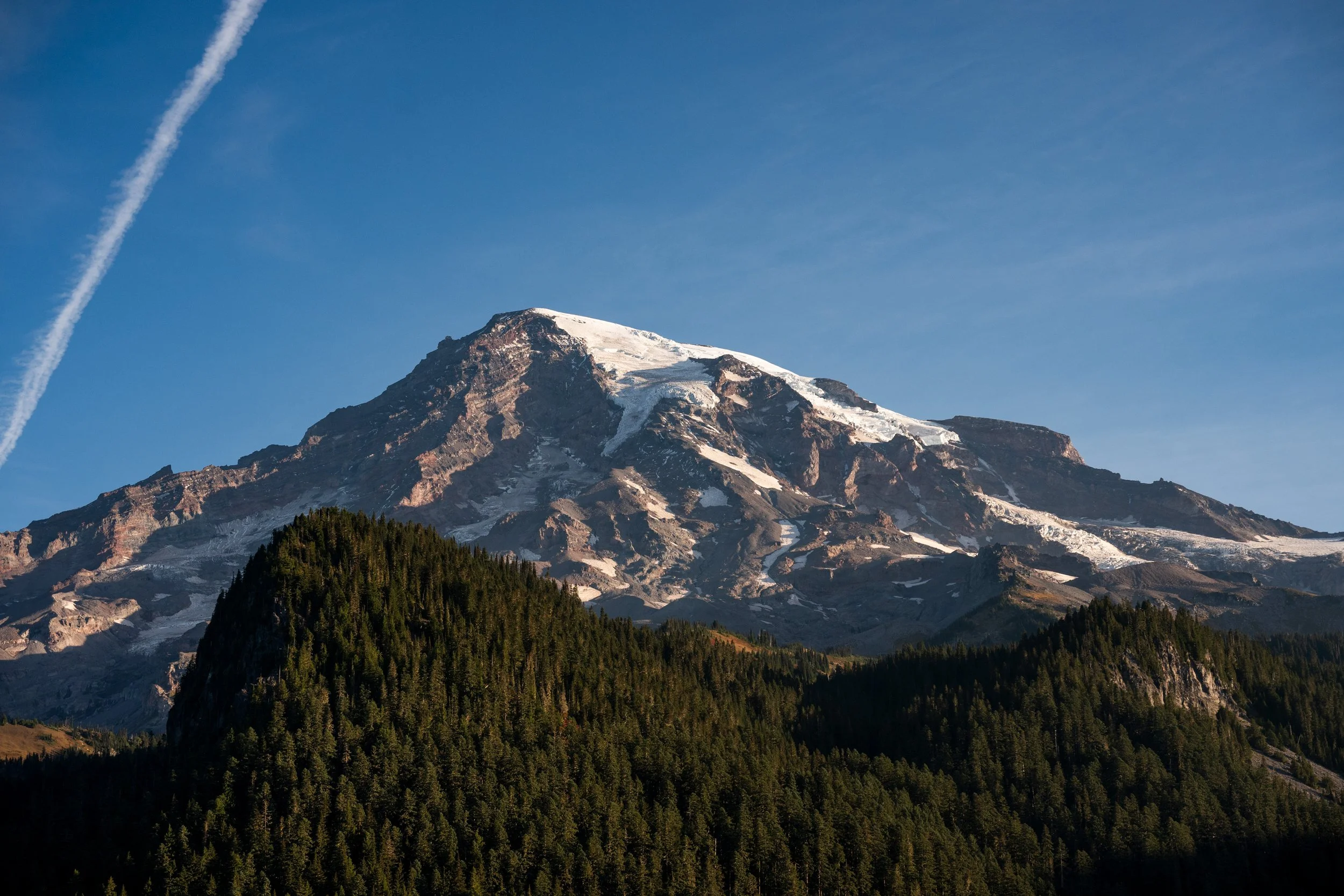DSC_4703.jpg