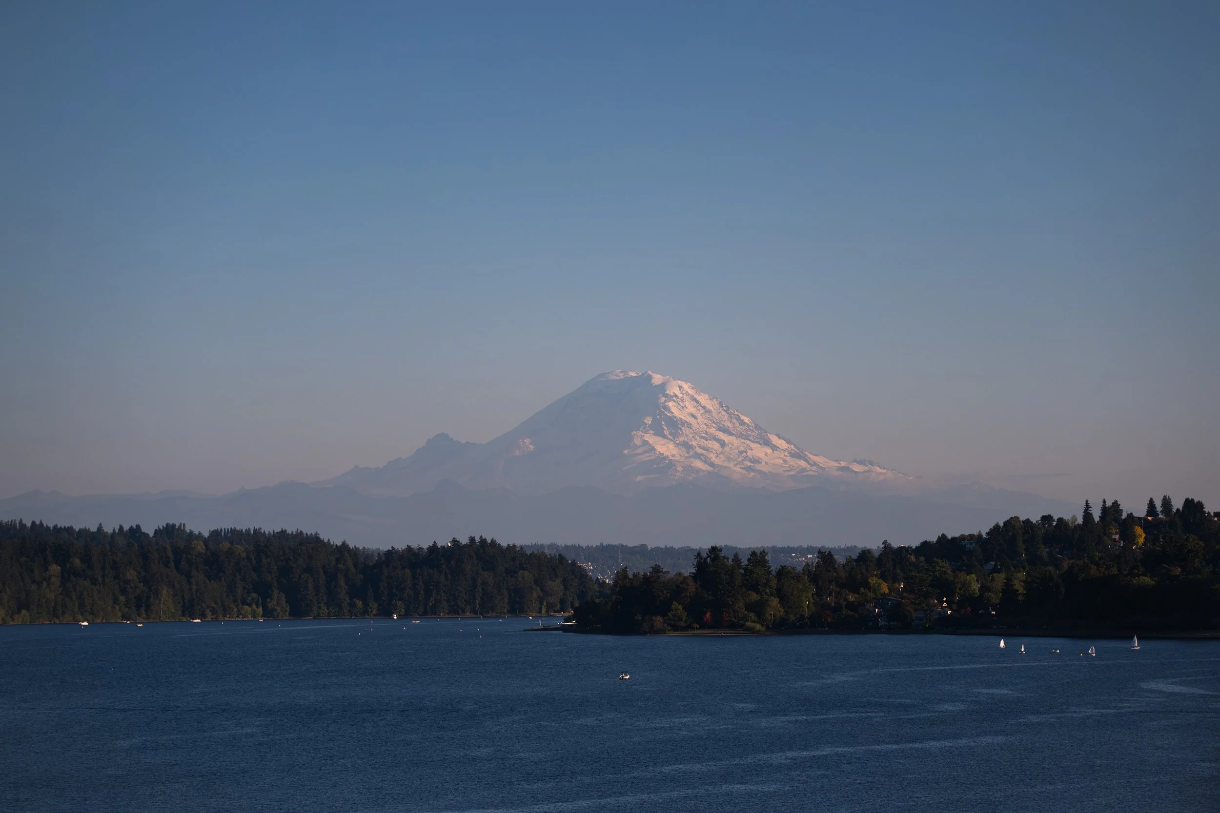 DSC_4520.jpg