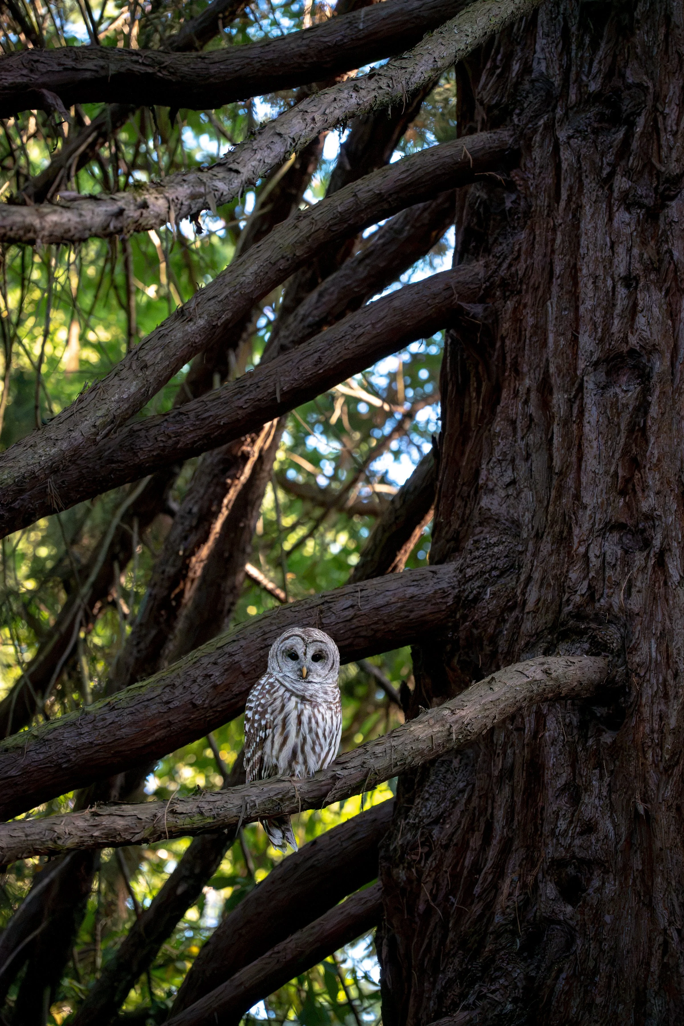 DSC_4622.jpg