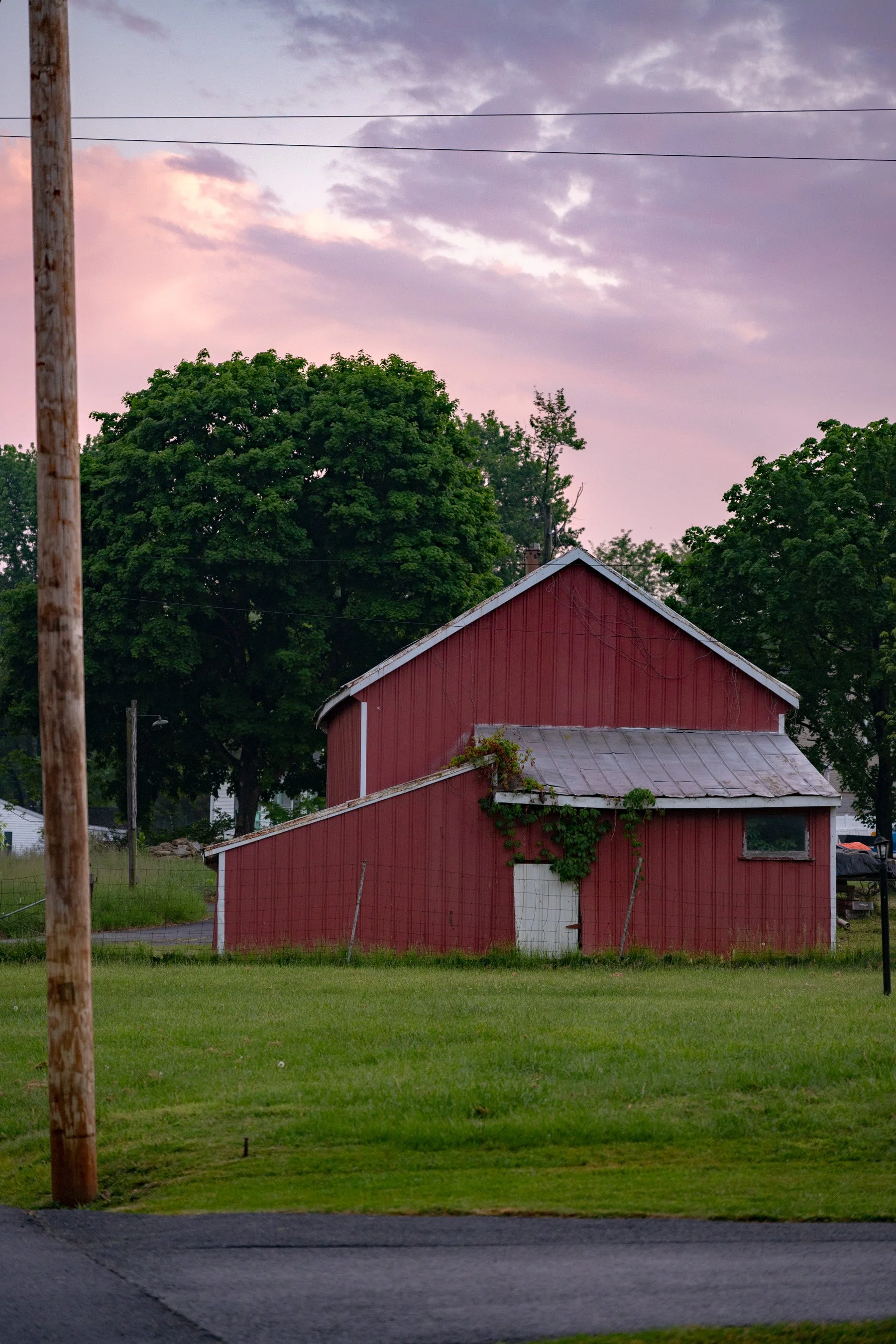 DSC_0202.jpg