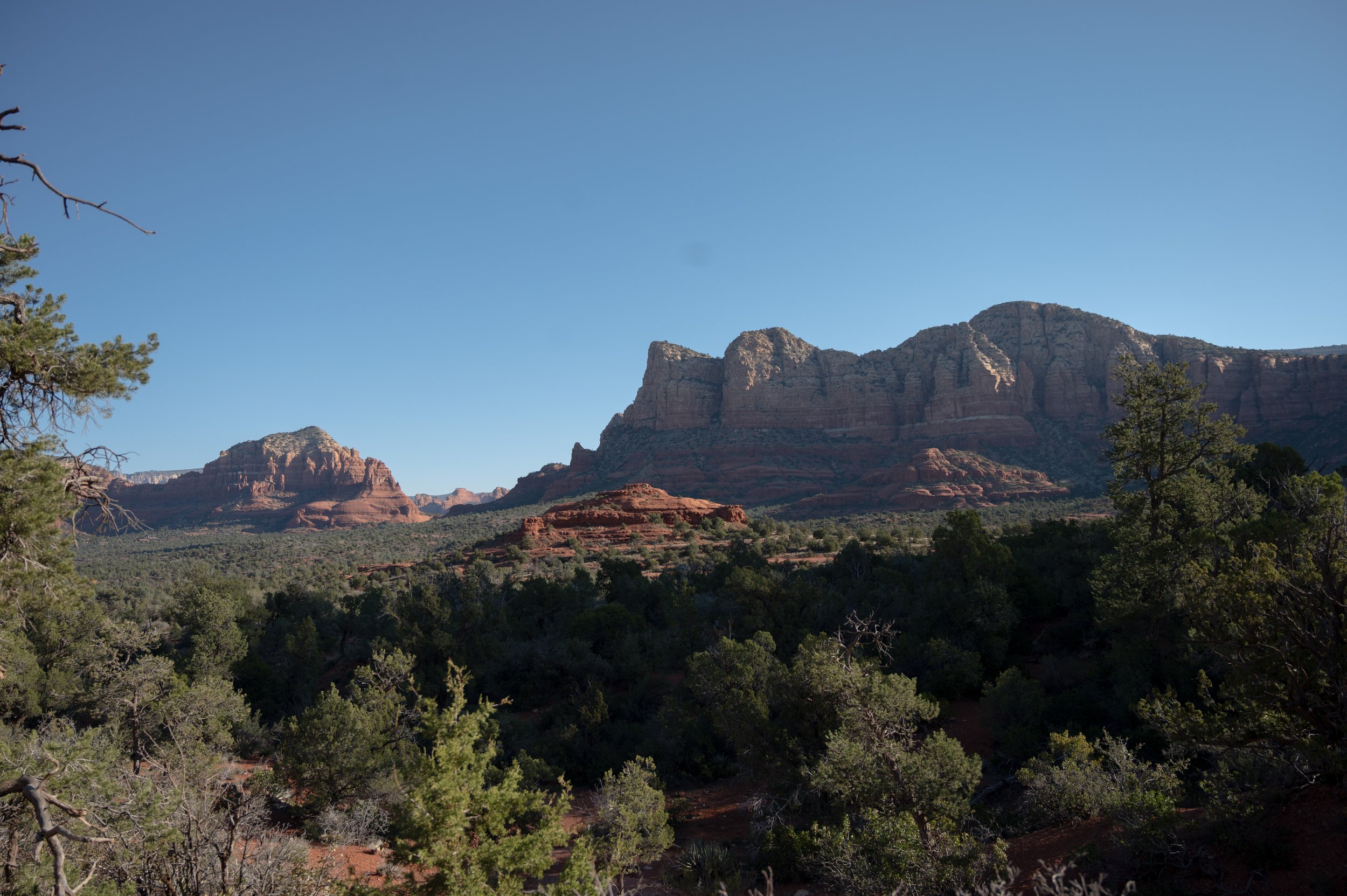 DSC_8411.jpg