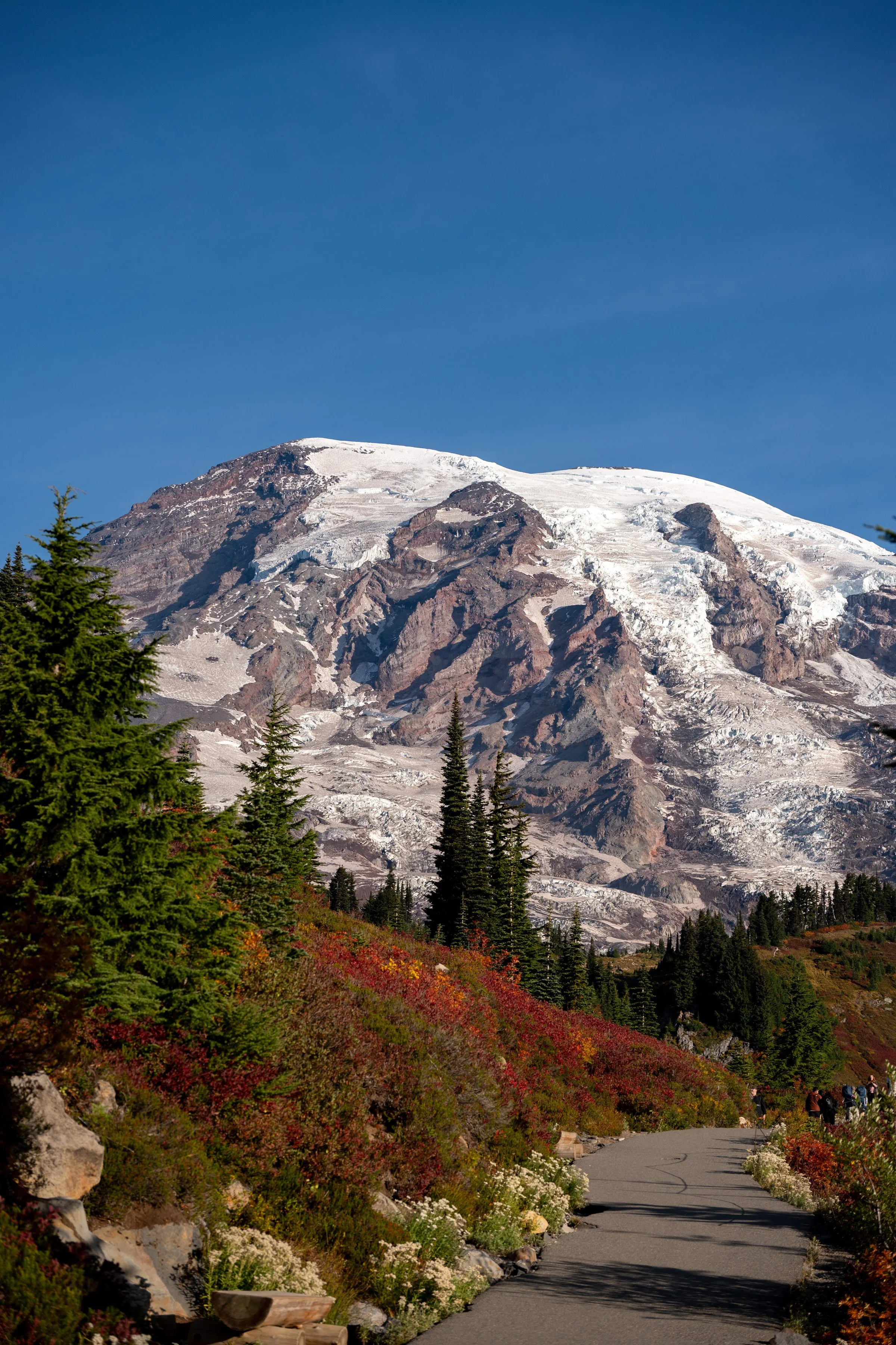 DSC_4731.jpg