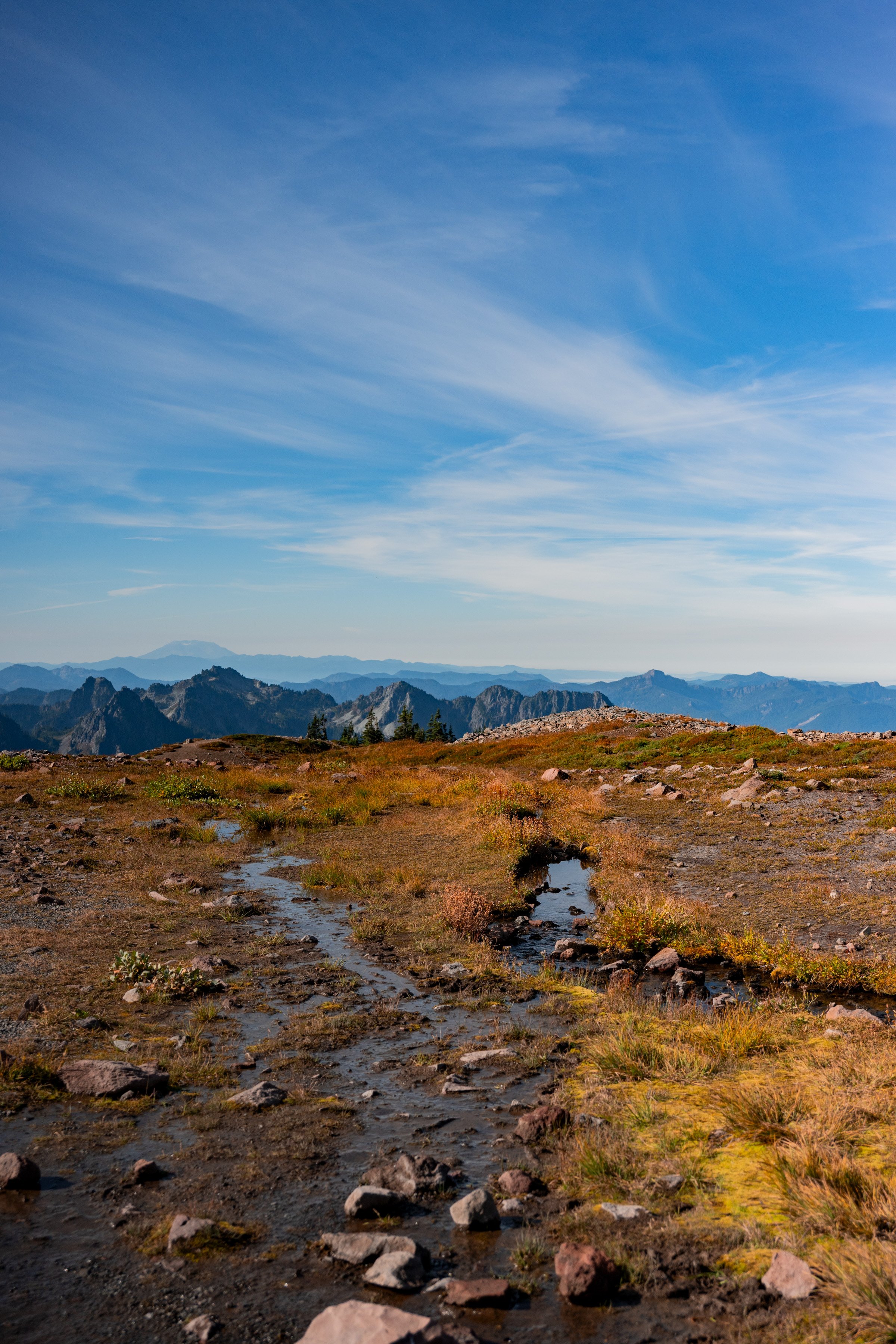 DSC_4850.jpg