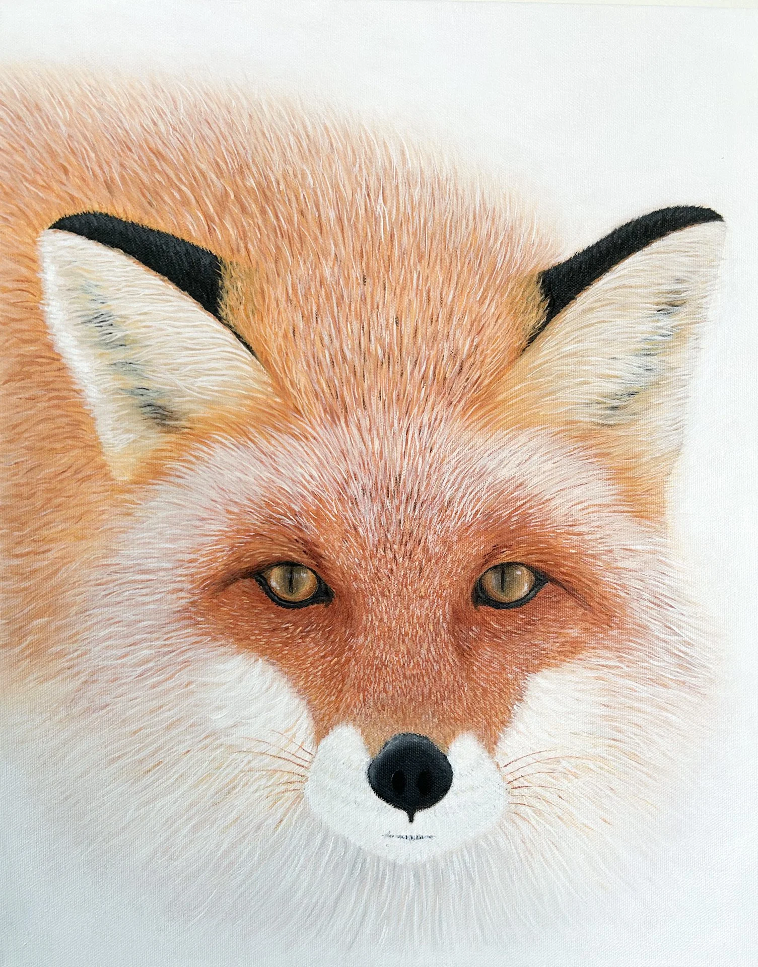 Kitakitsune
