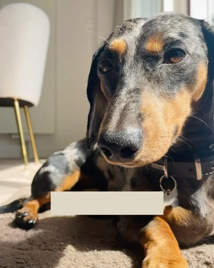 Find your flow and ride it! 🏄🏼&zwj;♂️🏃🏼 That&rsquo;s how all the  goals are smashed, and (dirty) laundry stops living rent free on your chair. 🧺😉
&bull;
&bull;
&bull;
#flow #mindset #mindsetiskey #dedication #positivity #crushtheday #succesmind