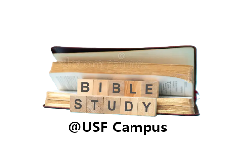 KBC Bible Study (On &amp; Offline)