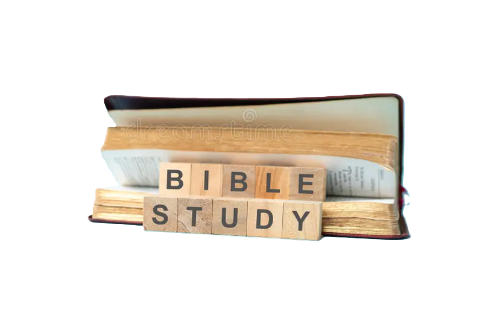 Adult Bible Study (Online)