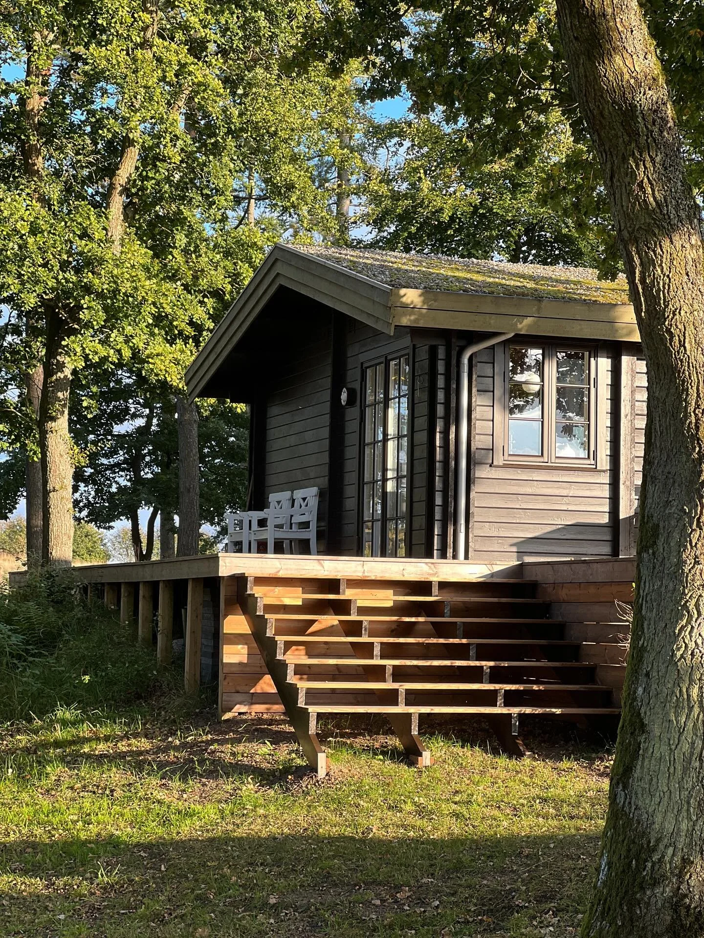 TRAPPE MED S&Oslash;KIG🍂

Endeligt er min sidste trappe til tr&aelig;terrassen f&aelig;rdig.

Jeg nyder trappen, der giver kig og gode gangveje til s&oslash;en, mosen og skoven ved Moss&oslash;.

En gave endeligt at komme helt i m&aring;l med tr&ael
