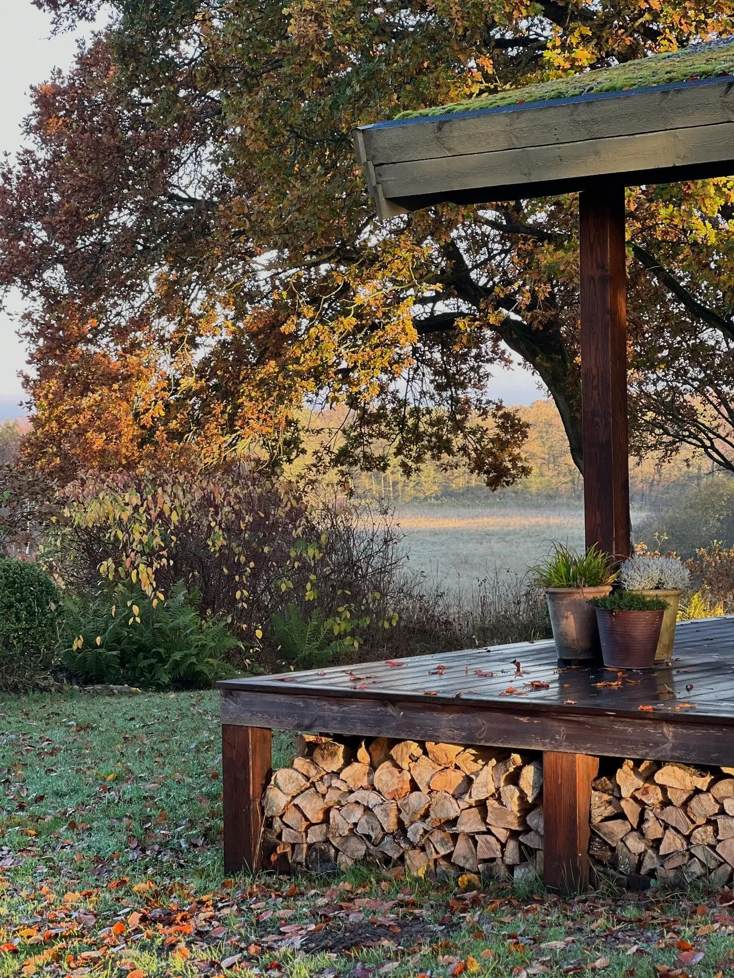 MIT BRUNE KRUKKEHJ&Oslash;RNE🍂

Gl&aelig;den ved tr&aelig; og naturens n&oslash;ddebrune farve har boet dybt i mit havehjerte siden jeg som barn voksede op ved skoven med al dens farve og naturlige ynde.

Her i mit krukkehj&oslash;rne p&aring; tr&ae