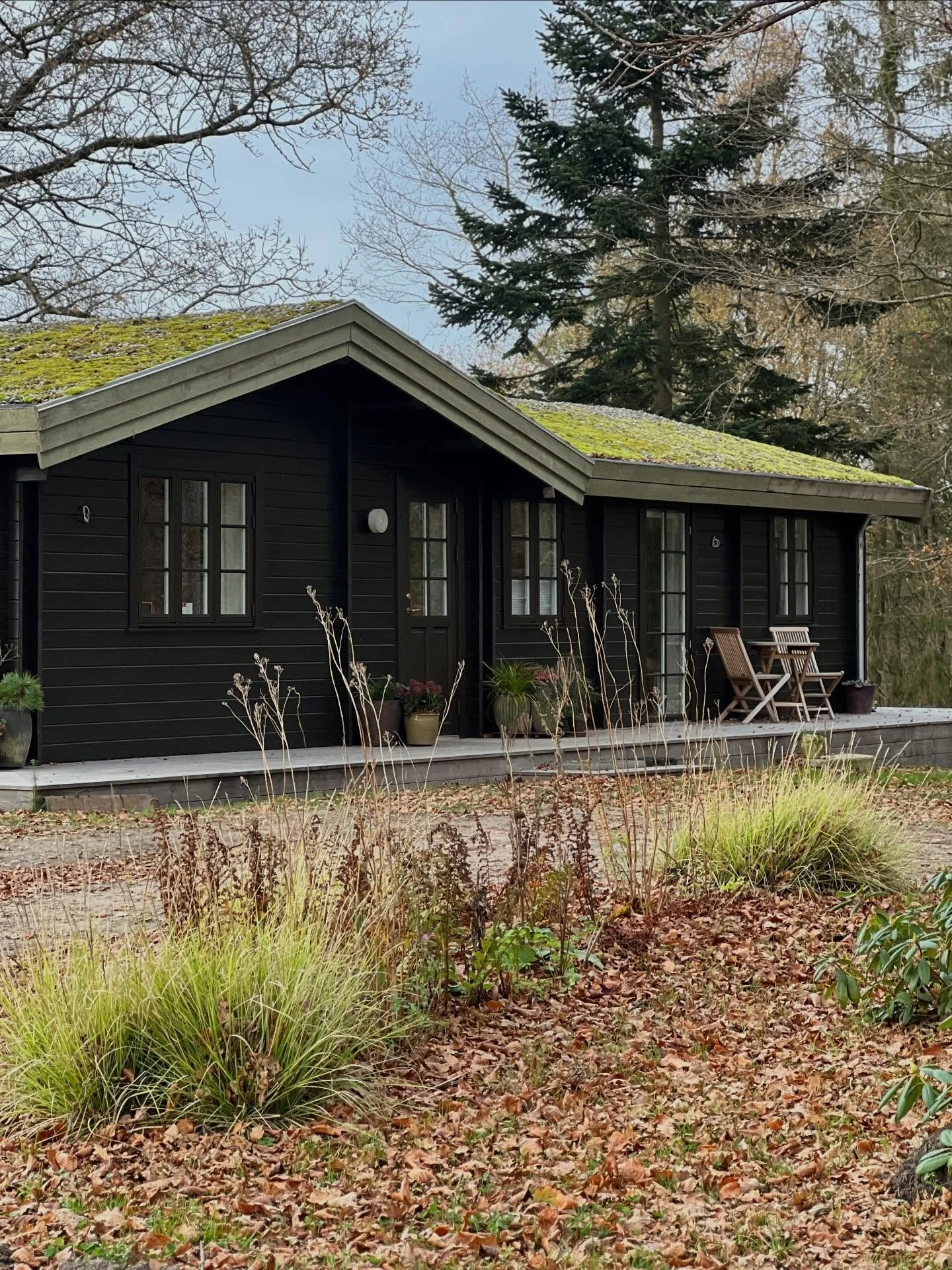 VINTERGR&Oslash;N VELKOMST🍂

Gr&oslash;nt med mos p&aring; taget og lysegr&oslash;nne gr&aelig;sser i velkomstbedet.

Jeg elsker at byde mine g&aelig;ster velkommen med farver og liv is&aelig;r om vinteren. Netop nu har vi ekstra gl&aelig;de af gr&o