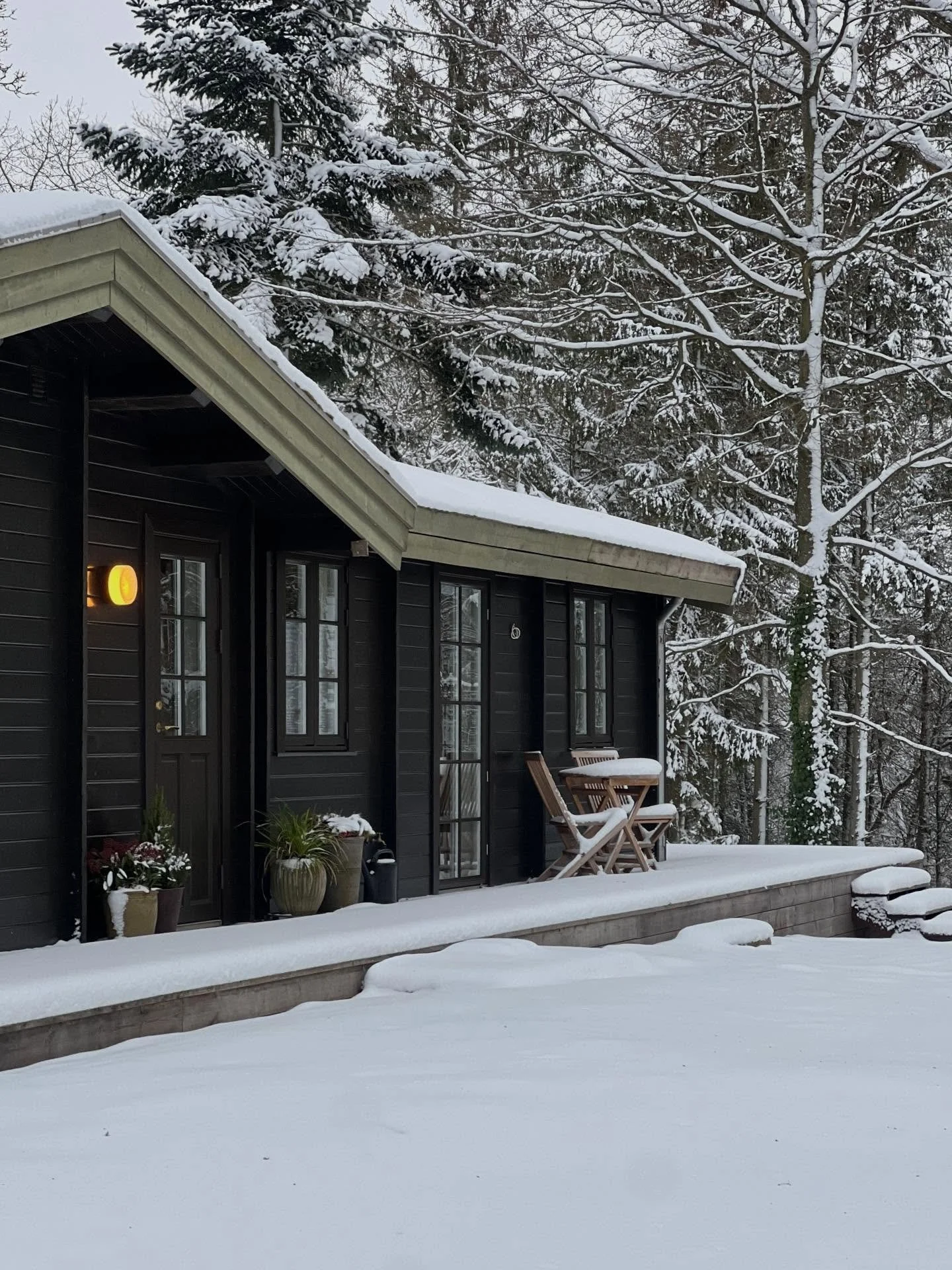 SKOVHAVEN I SNEDYNE❄️

I denne tid sidder jeg i Aarhus og arbejder. N&aring;r jeg lander herude ved Moss&oslash; st&aring;r tiden stille. S&aring; smukt og s&aring; mange fine spor og silhuetter, selvom det meste af haven er d&aelig;kket af sne❄️
.
.