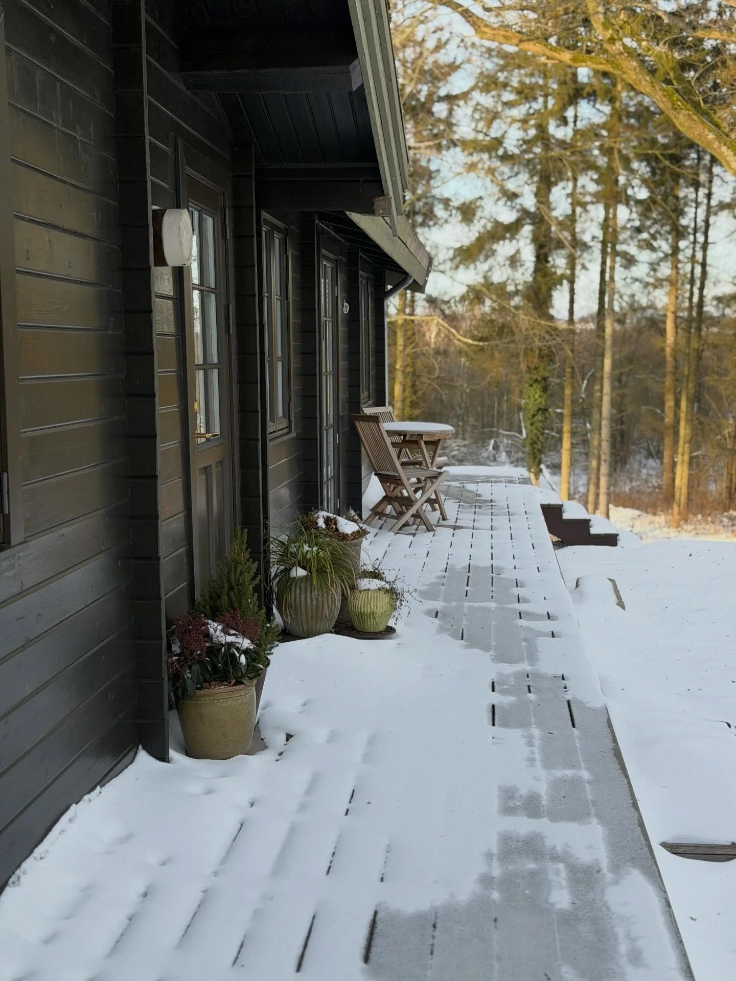 HAVEN LIGGER HELT STILLE❄️

Kridhvid sne og h&oslash;j sol i haven i dag. En af de dage, hvor jeg kniber mig i armen over, hvor smukt, der er herude. 

Jeg m&aring;tte lige kigge forbi Skovhaven og Moss&oslash; p&aring; min vej fra Aarhus til Sj&aeli