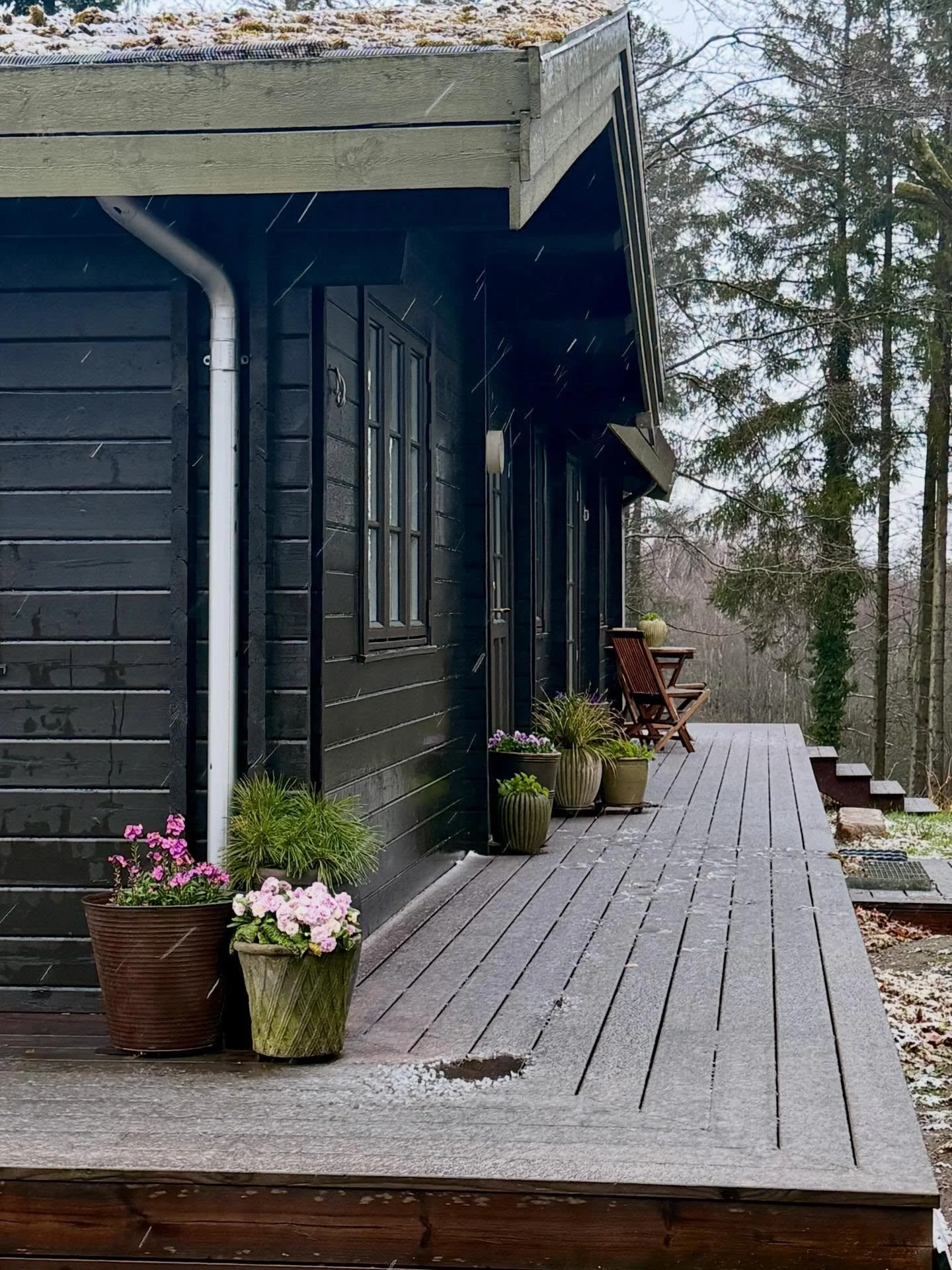 SNE OG PAUSEVEJR I HAVEN🌨️

April er altid en sp&aelig;ndende vejrm&aring;ned her i haven. Fra h&oslash;j sol, travlhed med at tegne haveplaner og iver efter at s&aring; de f&oslash;rste fr&oslash; i k&oslash;kkenhaven til sne og tiltr&aelig;ngt tid