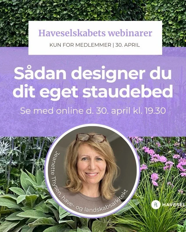 DR&Oslash;MMER DU OM ET NYT STAUDEBED?

M&aring;ske et bed, der er vildt, overd&aring;digt og gr&oslash;ftekantsinspireret? Eller et l&aelig;ngeblomstrende, insektvenligt eller t&oslash;rketolerant bed?

S&aring; gl&aelig;d dig til Haveselskabet sl&a