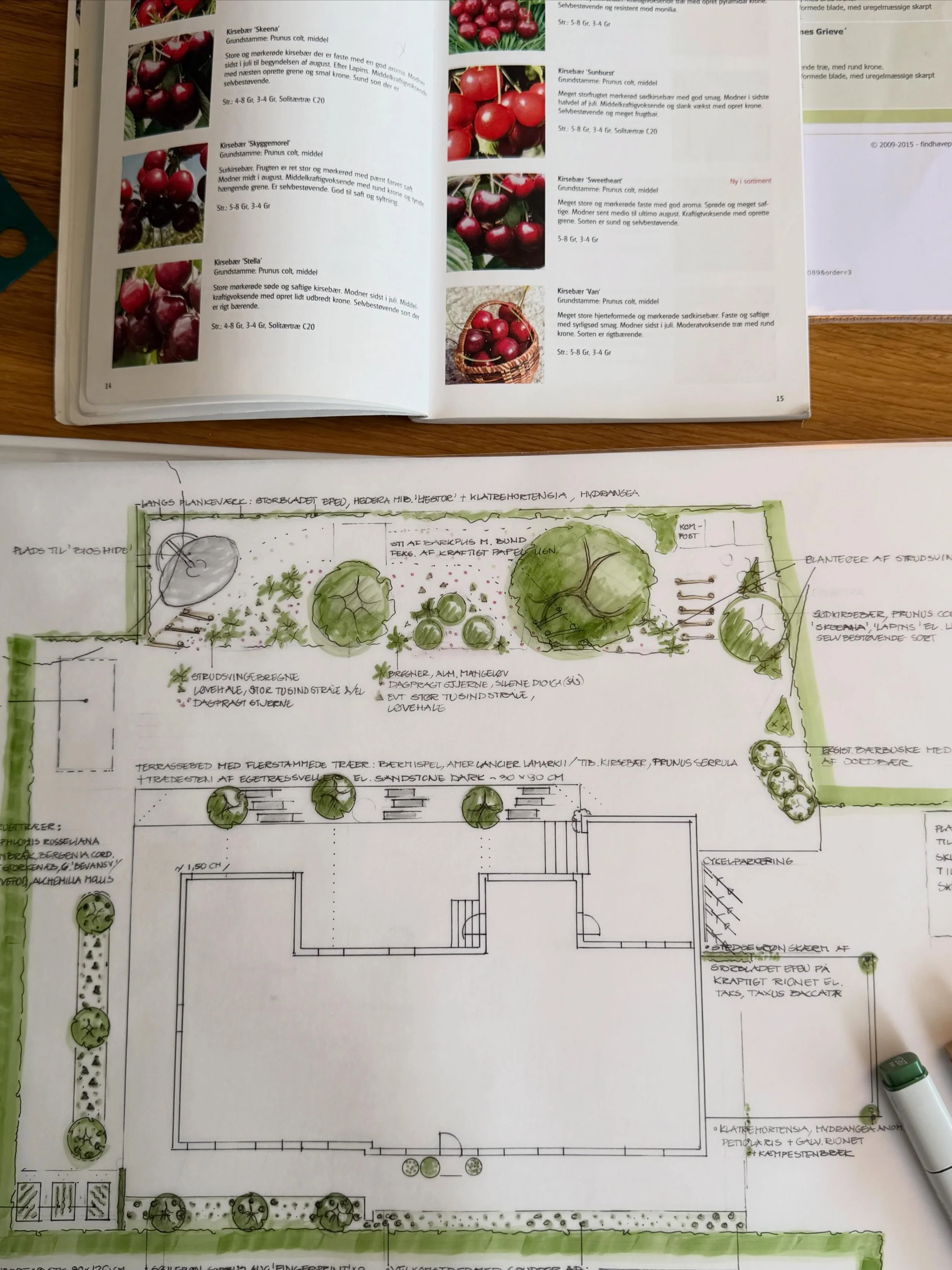 HAVEPLAN TIL DEN SPISELIGE HAVE 🌿

Spiselige urter, b&aelig;rbuske og frugttr&aelig;er kombineret med en blomstrende, levende og brugbar have. S&aring;dan l&oslash;d nogle af &oslash;nskerne, da Bonnie og Christian bad mig om hj&aelig;lp til at tegn