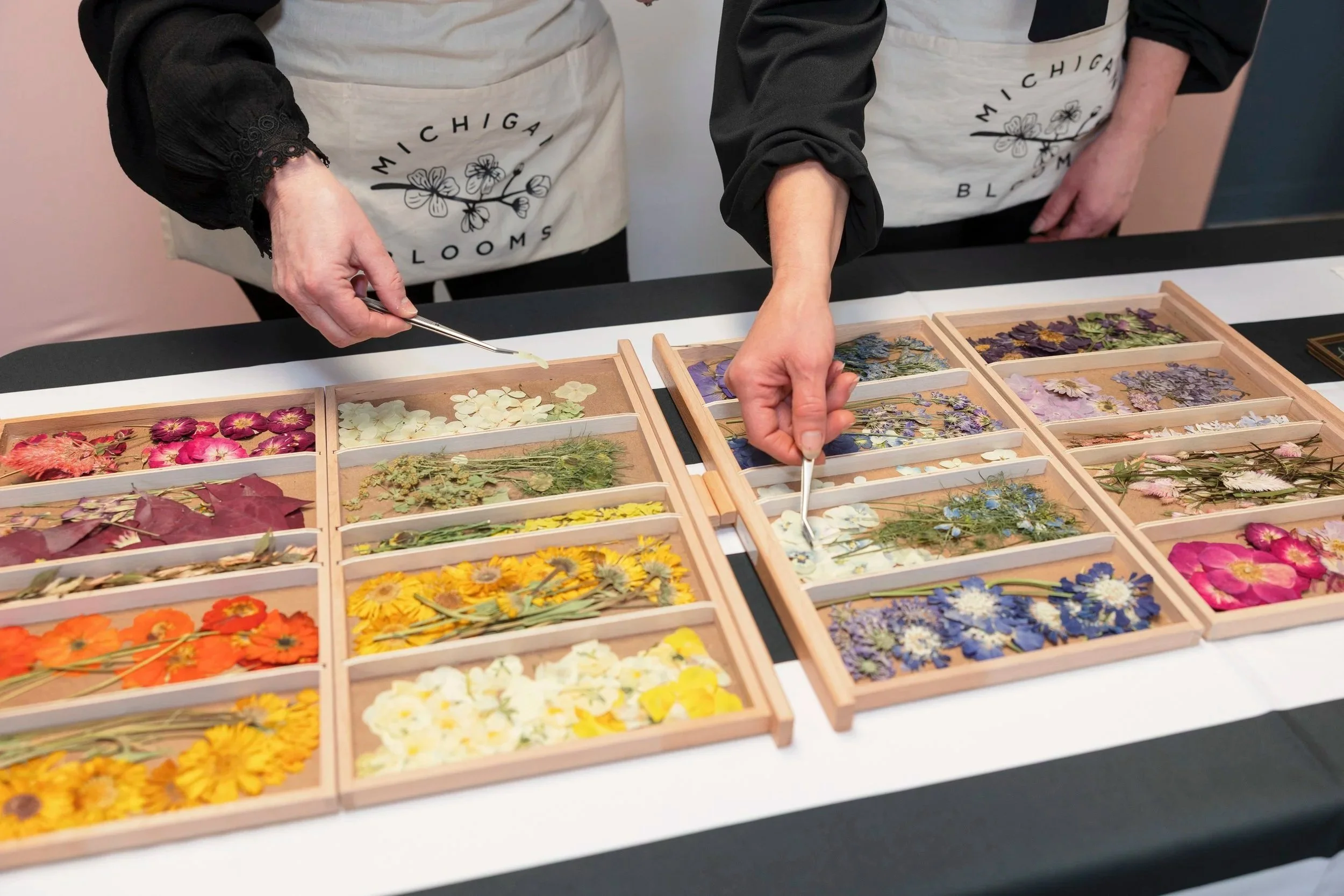 Michigan pressed flower workshops.