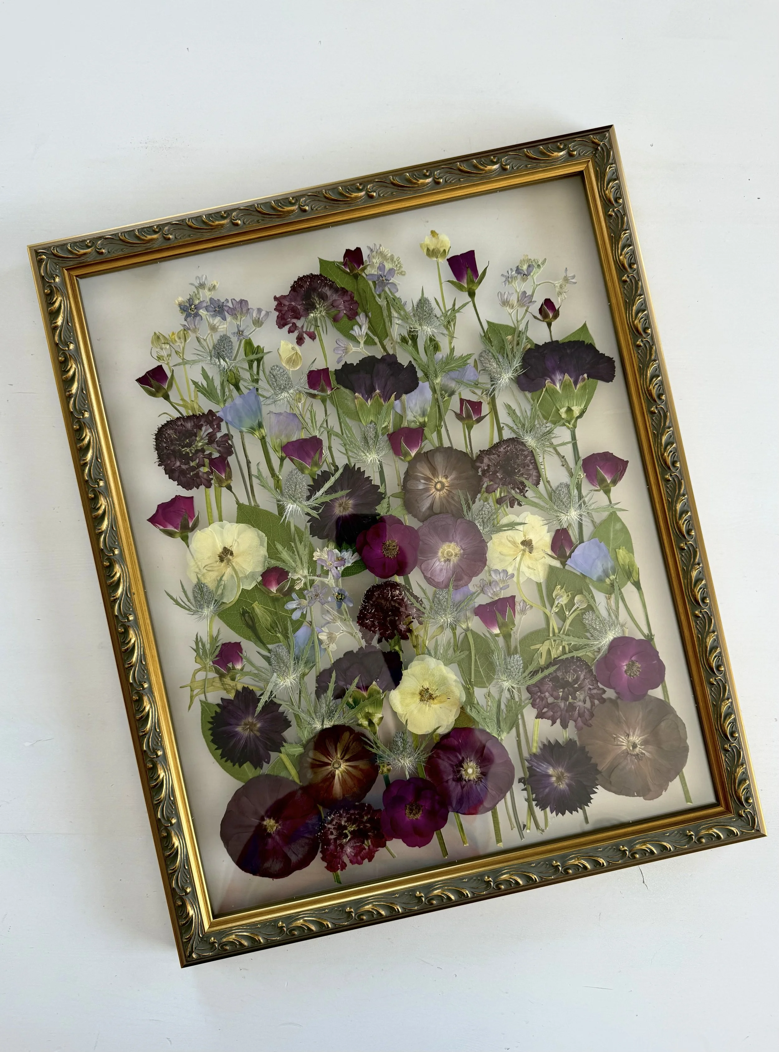 Meadow designed pressed and framed flowers.