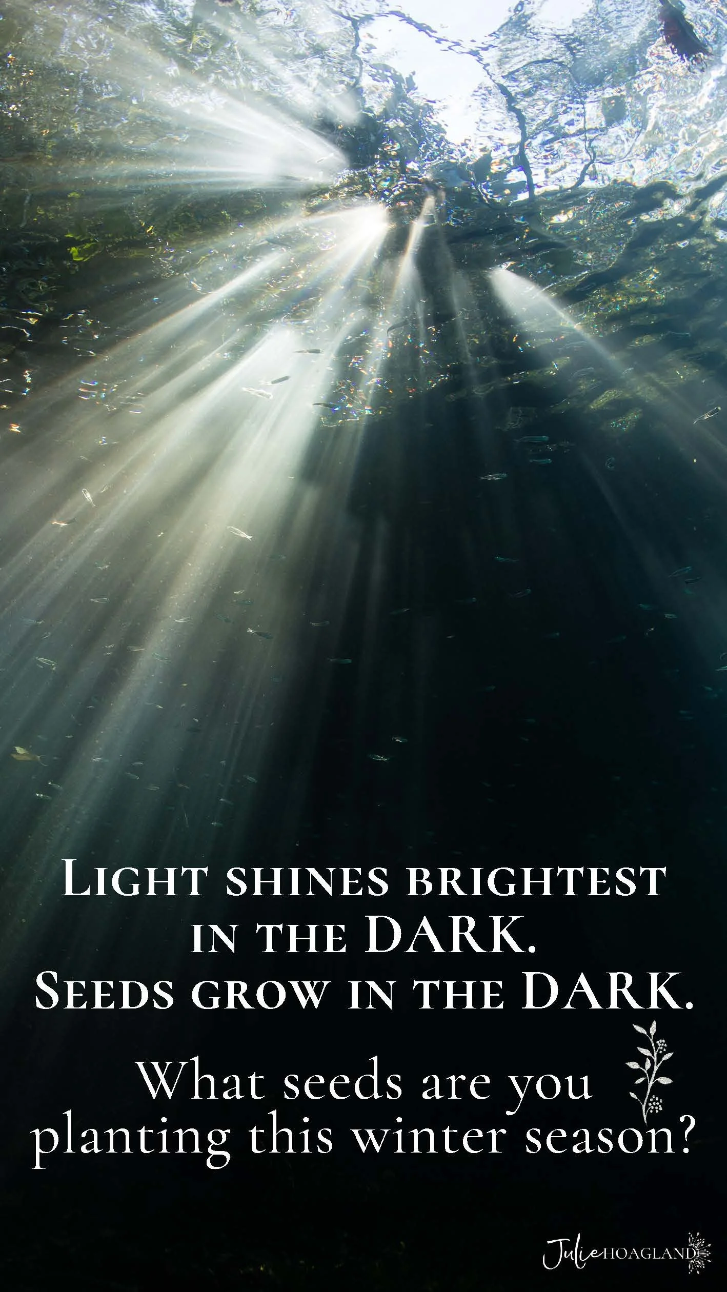 2023 cards (1)_Page_34.jpg