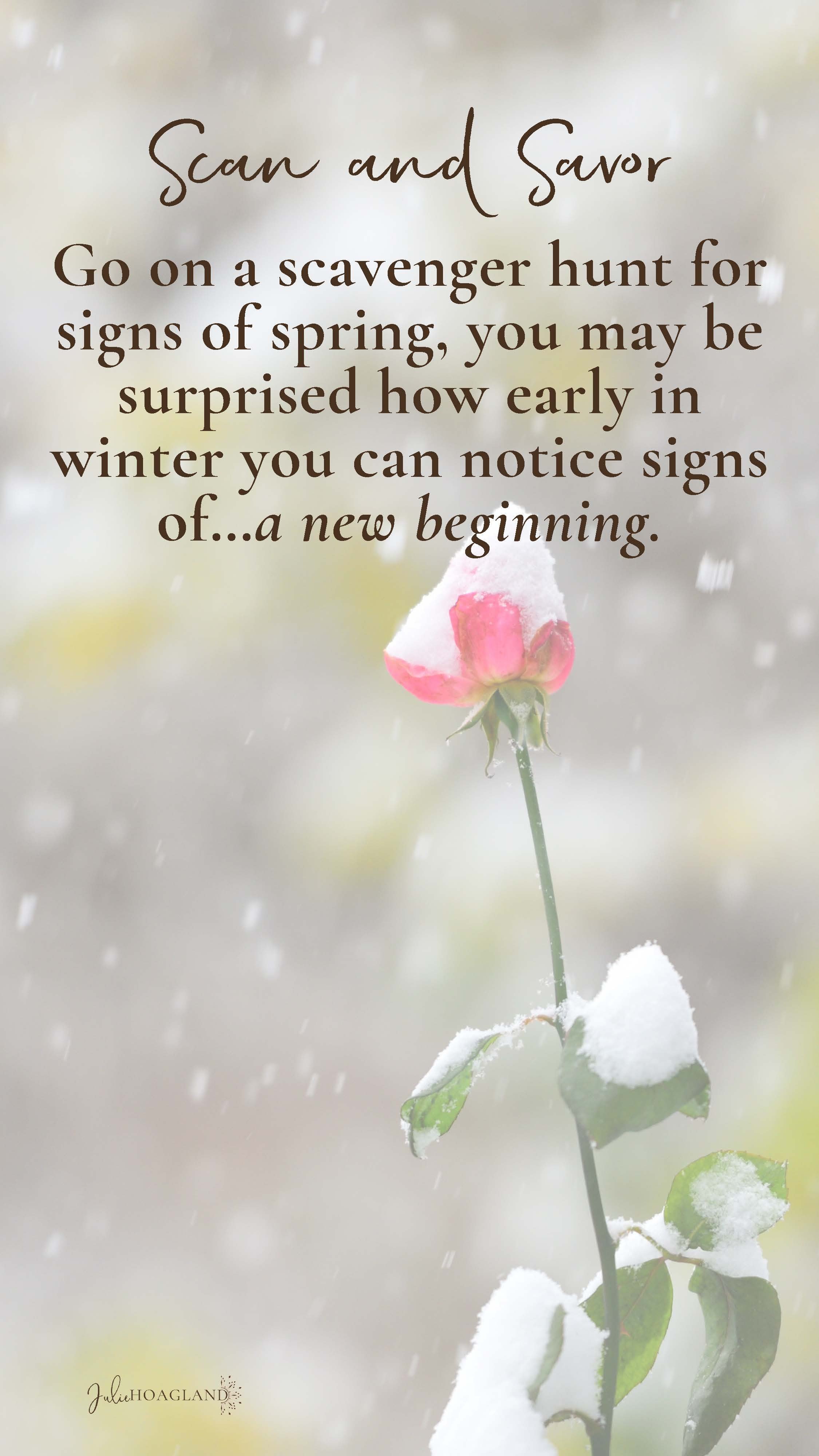 2023 cards (1)_Page_31.jpg