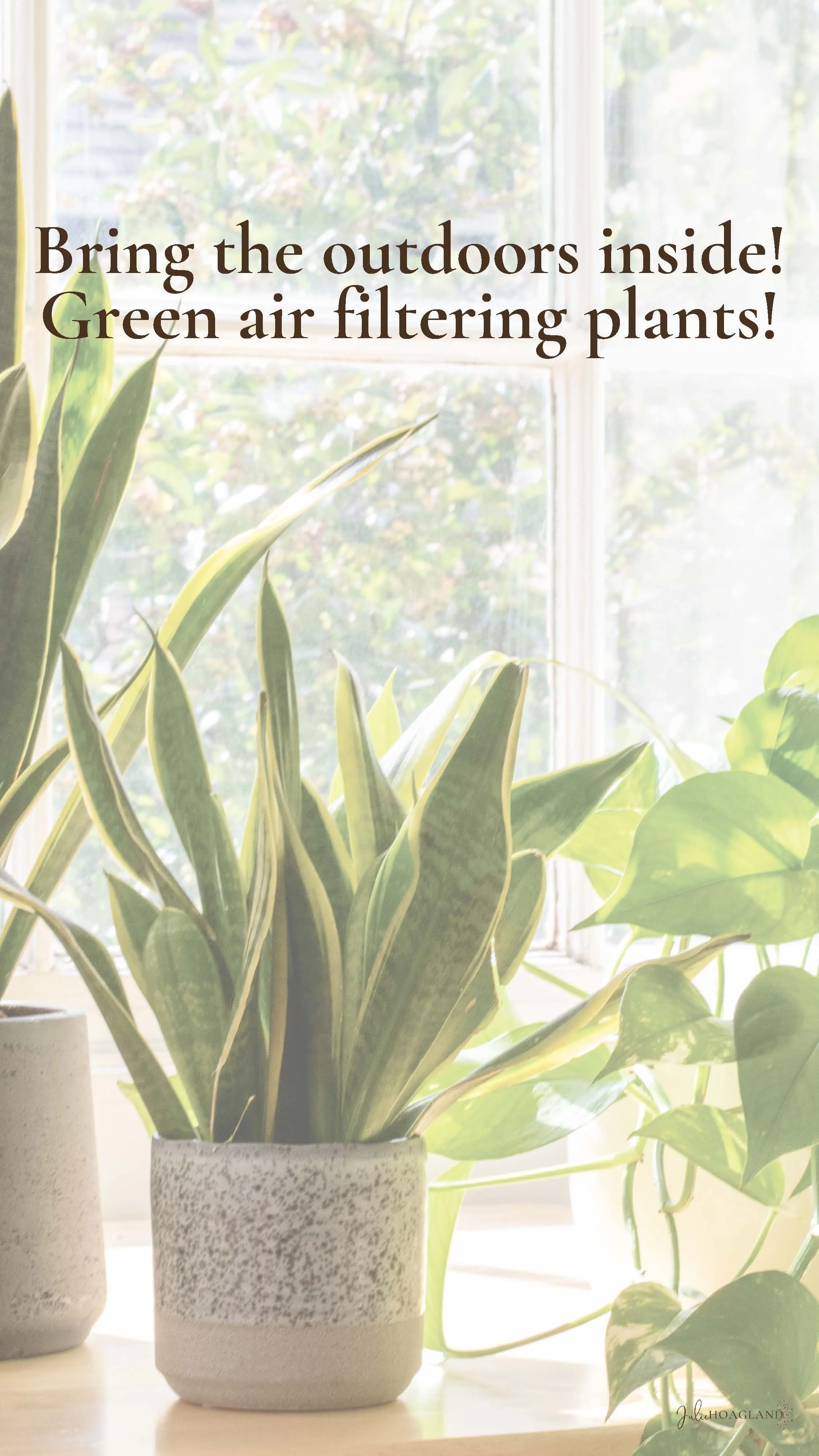 2023 cards (1)_Page_17.jpg