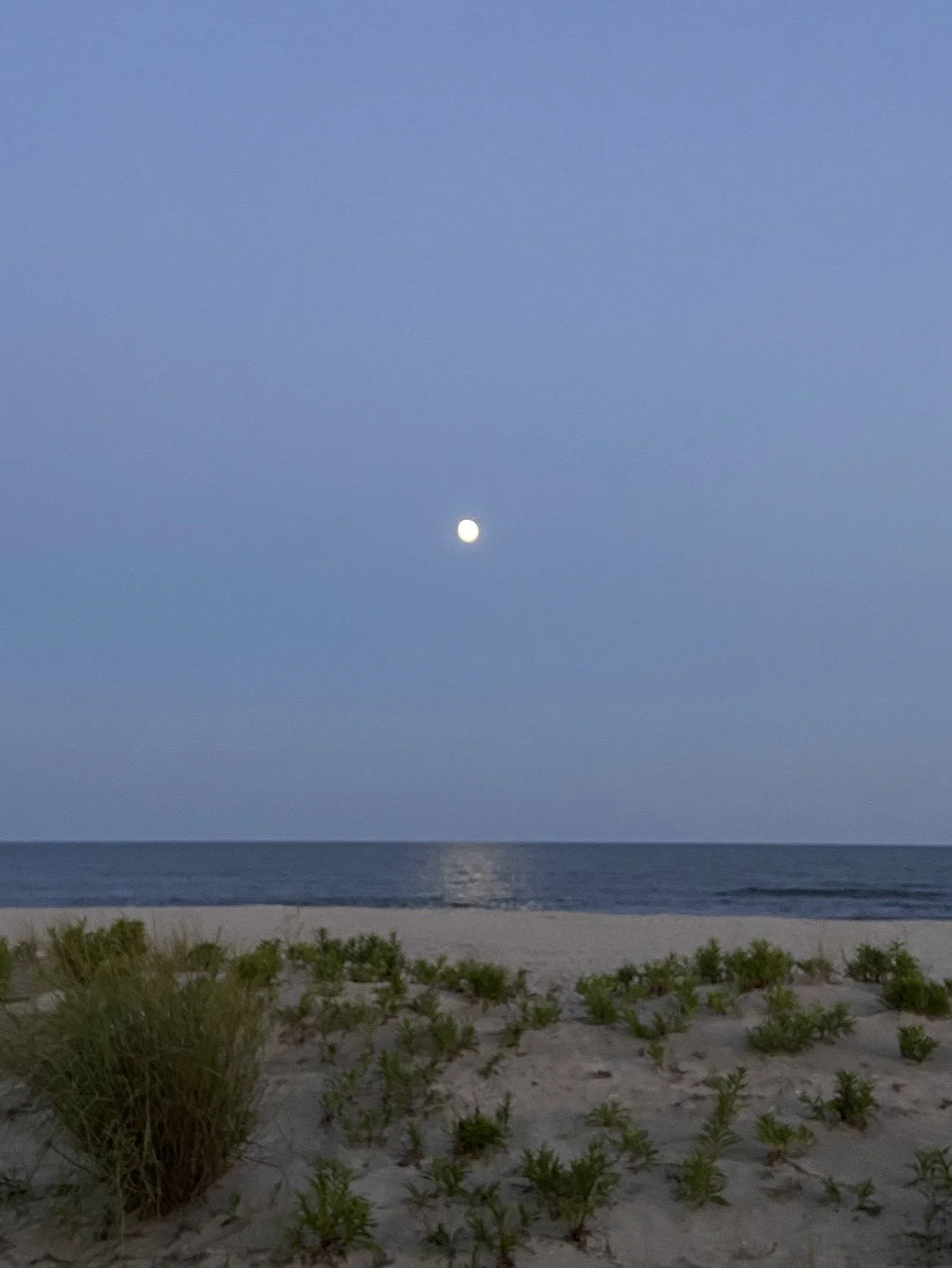 IMG_2426.jpg