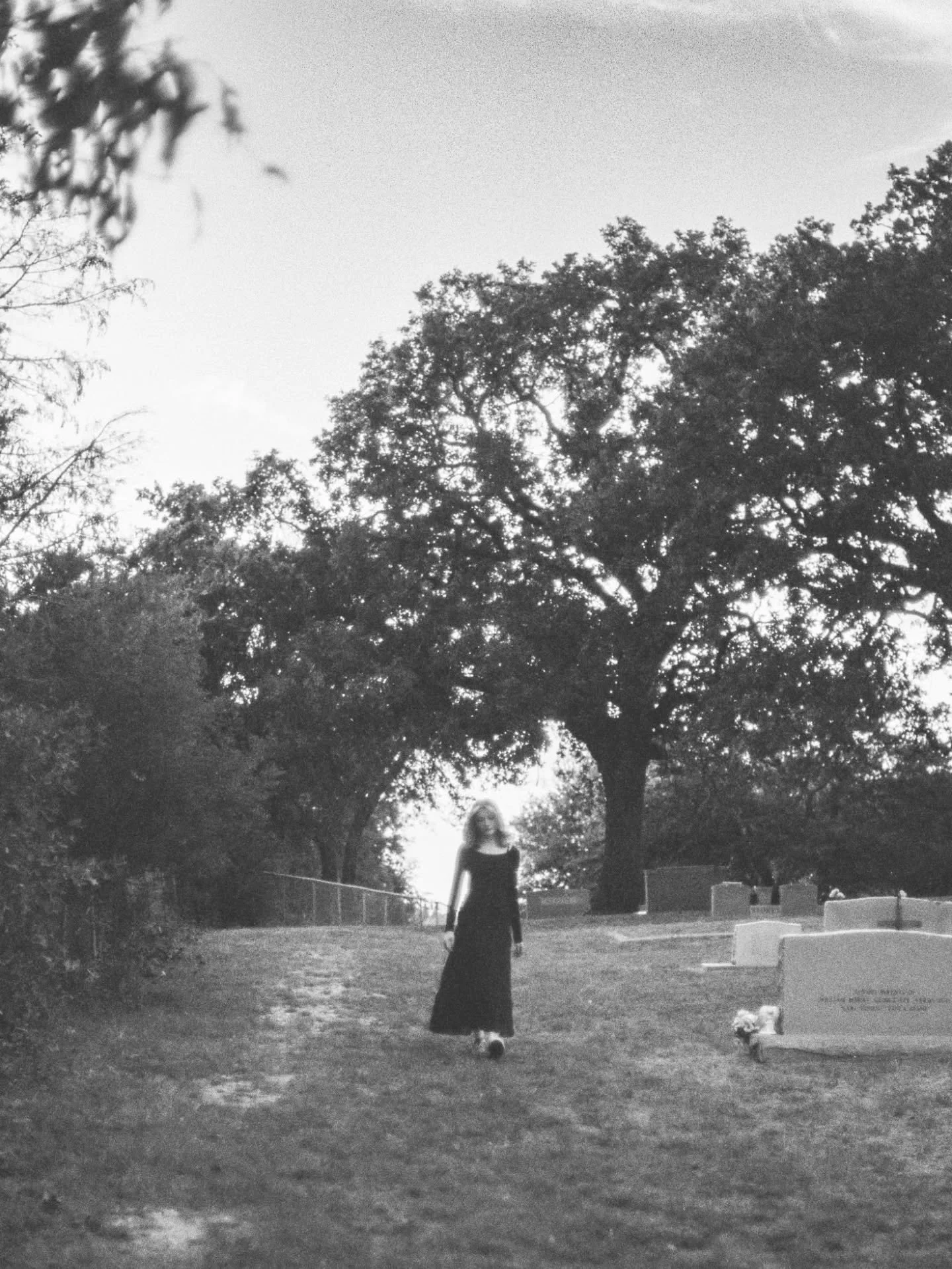 A perfect 👌 October senior session on film
Lab: @prismafilmlab 
#seniorphotosession #seniorportaits #seniorsession #graduate #classof2026 #seniorsession #familyphotography #familyphotographer #seniorphoto #fineartfamilyphotographer #fineartphotograp