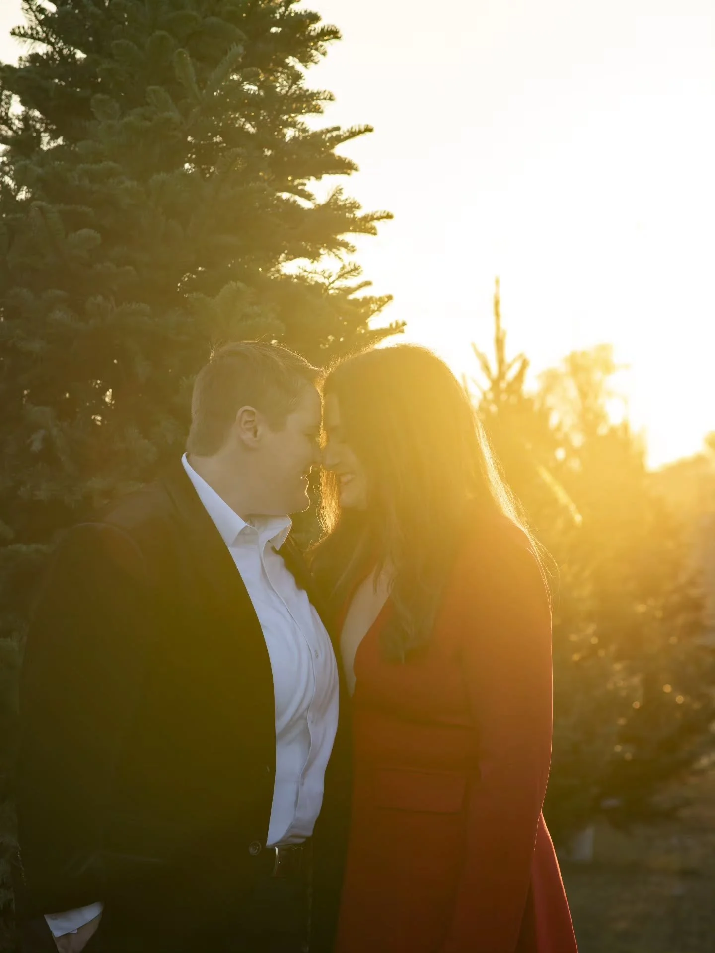 Golden sun 🌞 and Christmas trees 🎄 
@monroefamilyfarm 

It was supposed pour this day and it ending up being really beautiful 😍 🤩