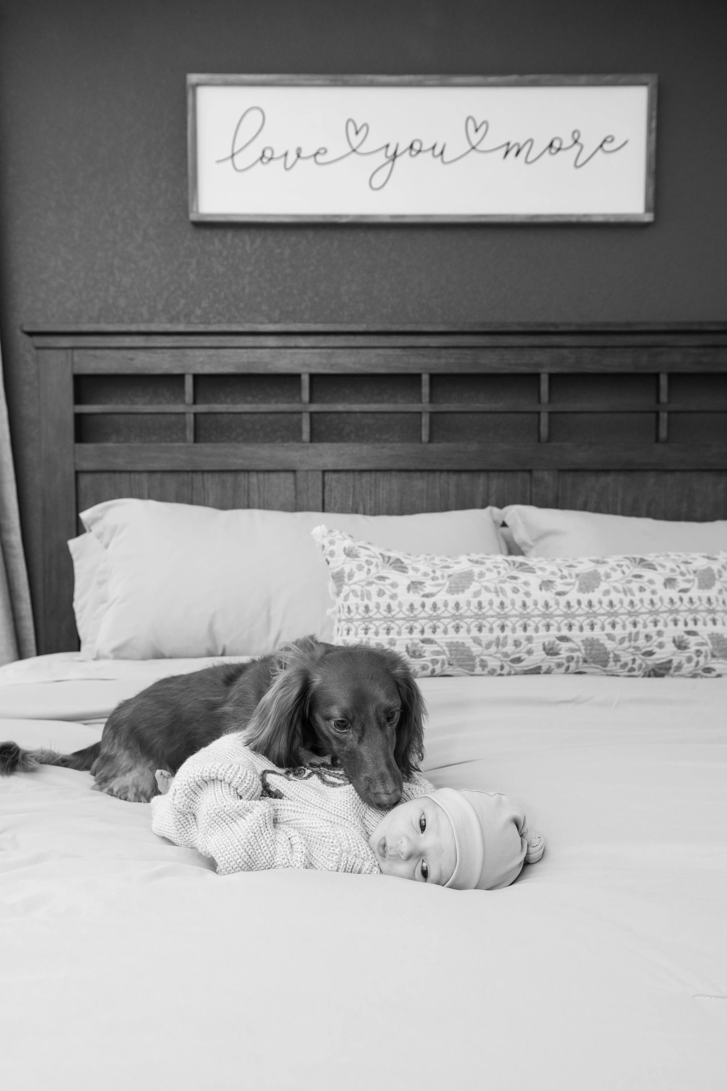 A black and white photo of a dog and a baby lying on a bed. The dog is resting its head on the baby, who is wearing a beanie. There are pillows and a patterned pillow on the bed, and a framed wall art above the headboard that says 'love you more' wit