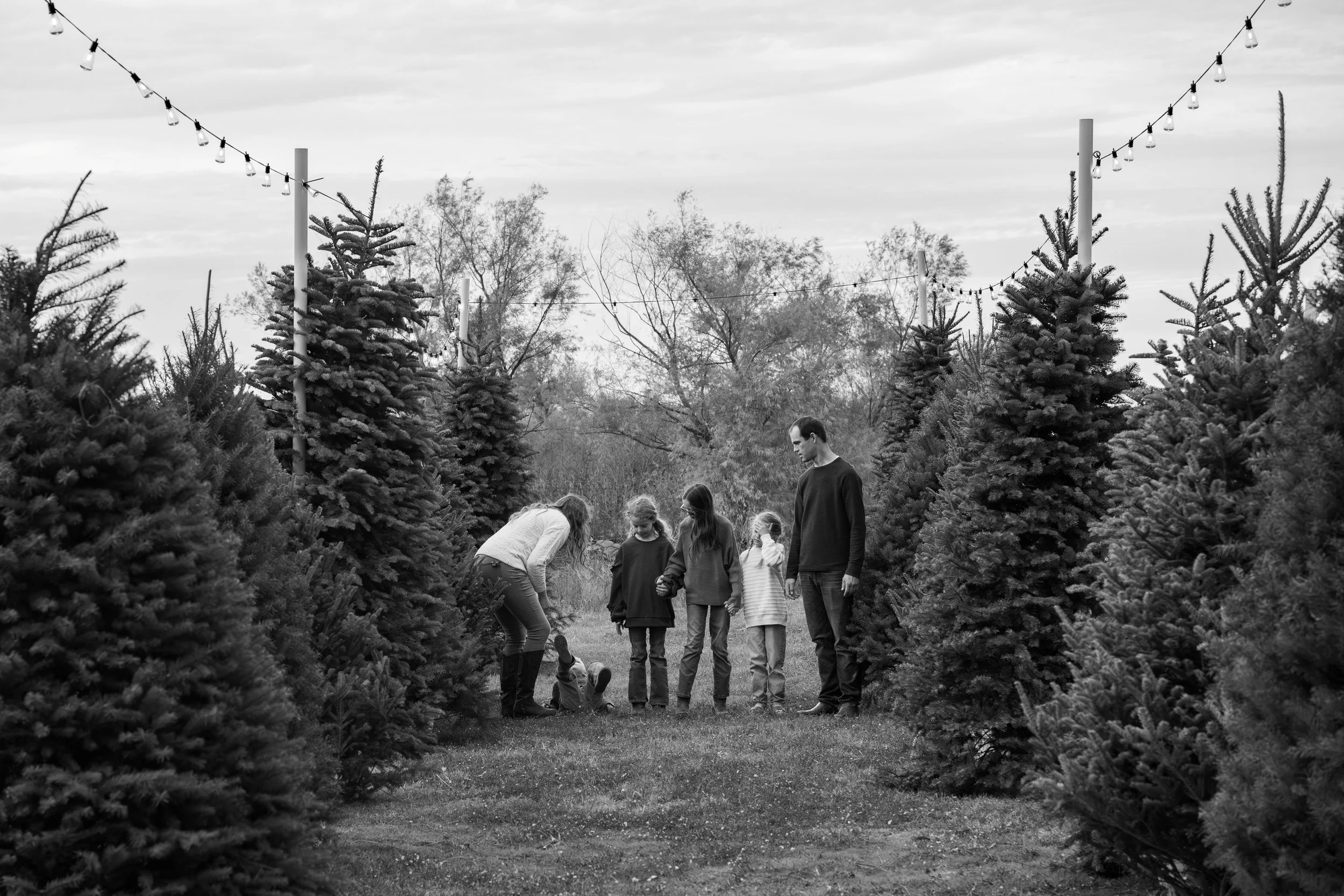MonroeFamily-148.jpg