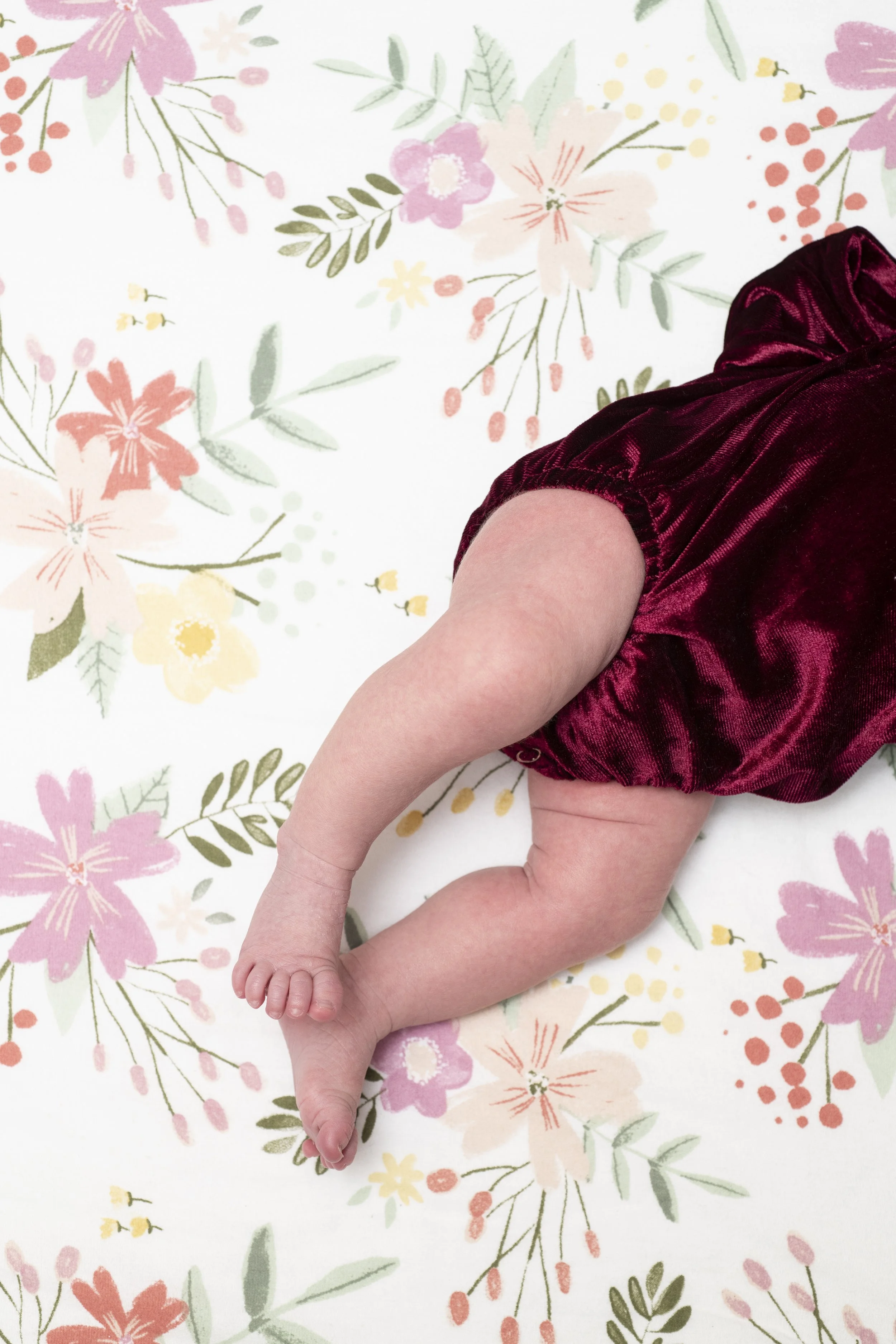 Close-up of a baby lying face down on a floral patterned surface, wearing a burgundy velvet outfit.