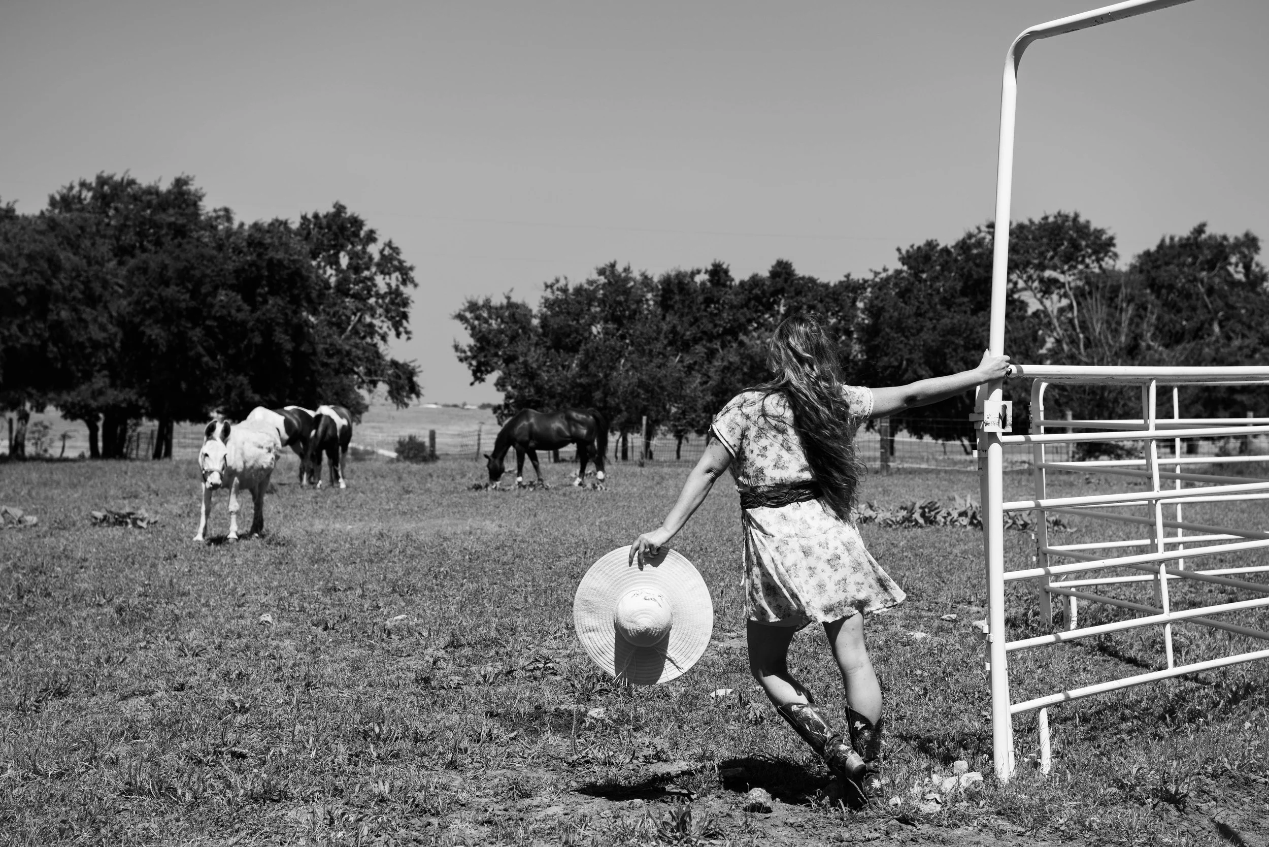 Sunshines Farm-23.jpg
