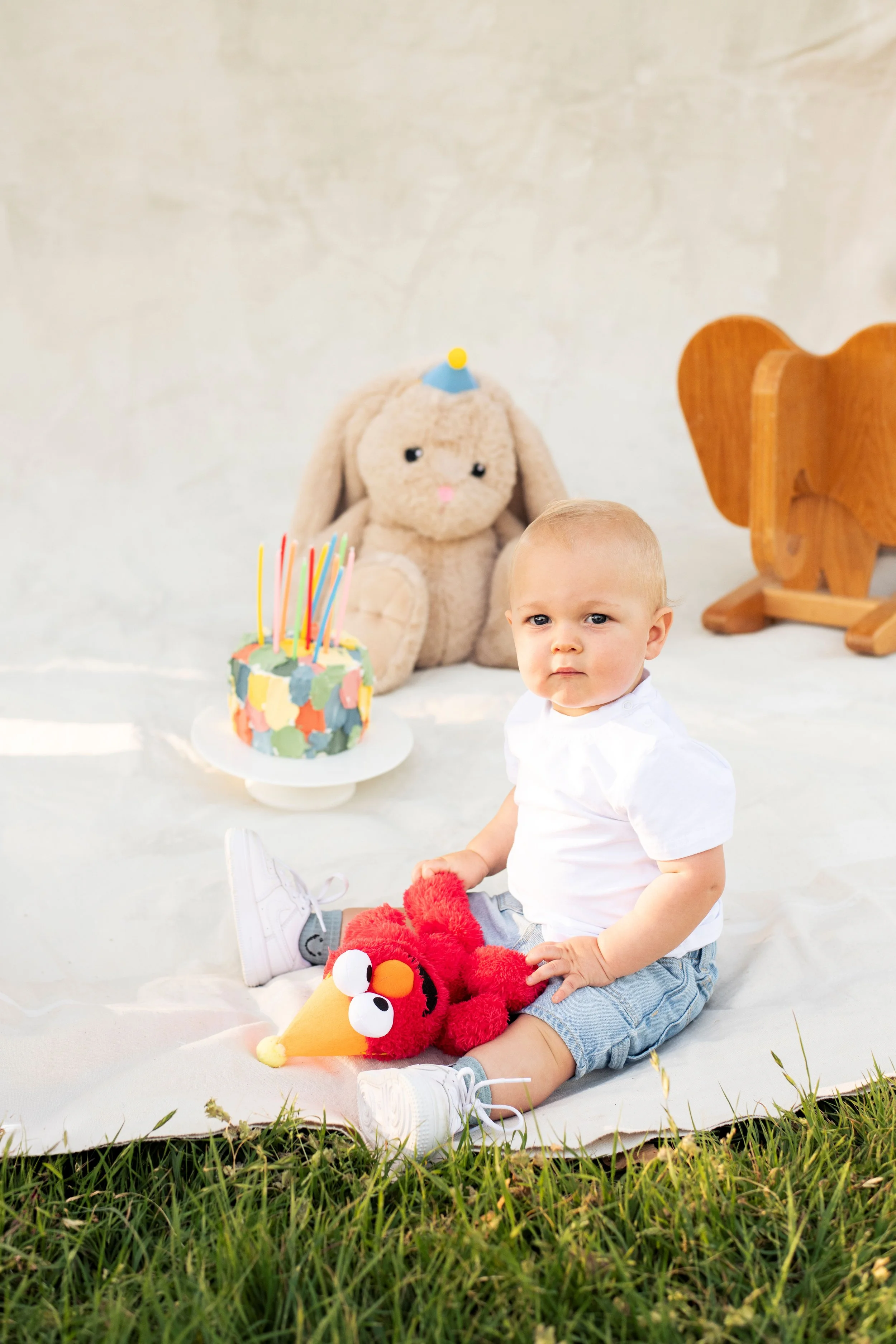 Young boy sitting on white blanket outdoors with plush Elmo toy, birthday cake with candles, bunny plush, and wooden chair in background.