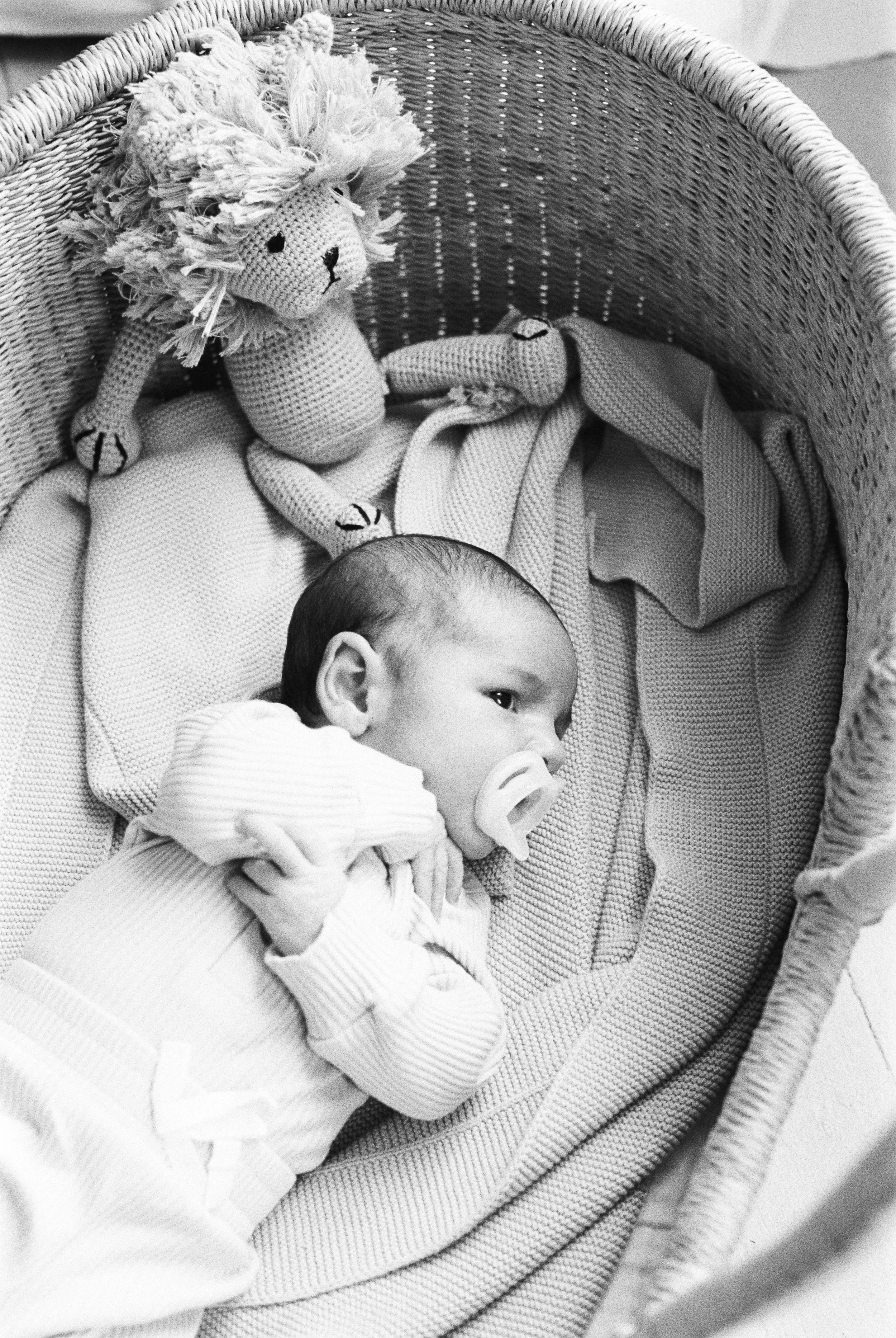 A baby lying in a crib with a stuffed lion toy and a pacifier in its mouth.